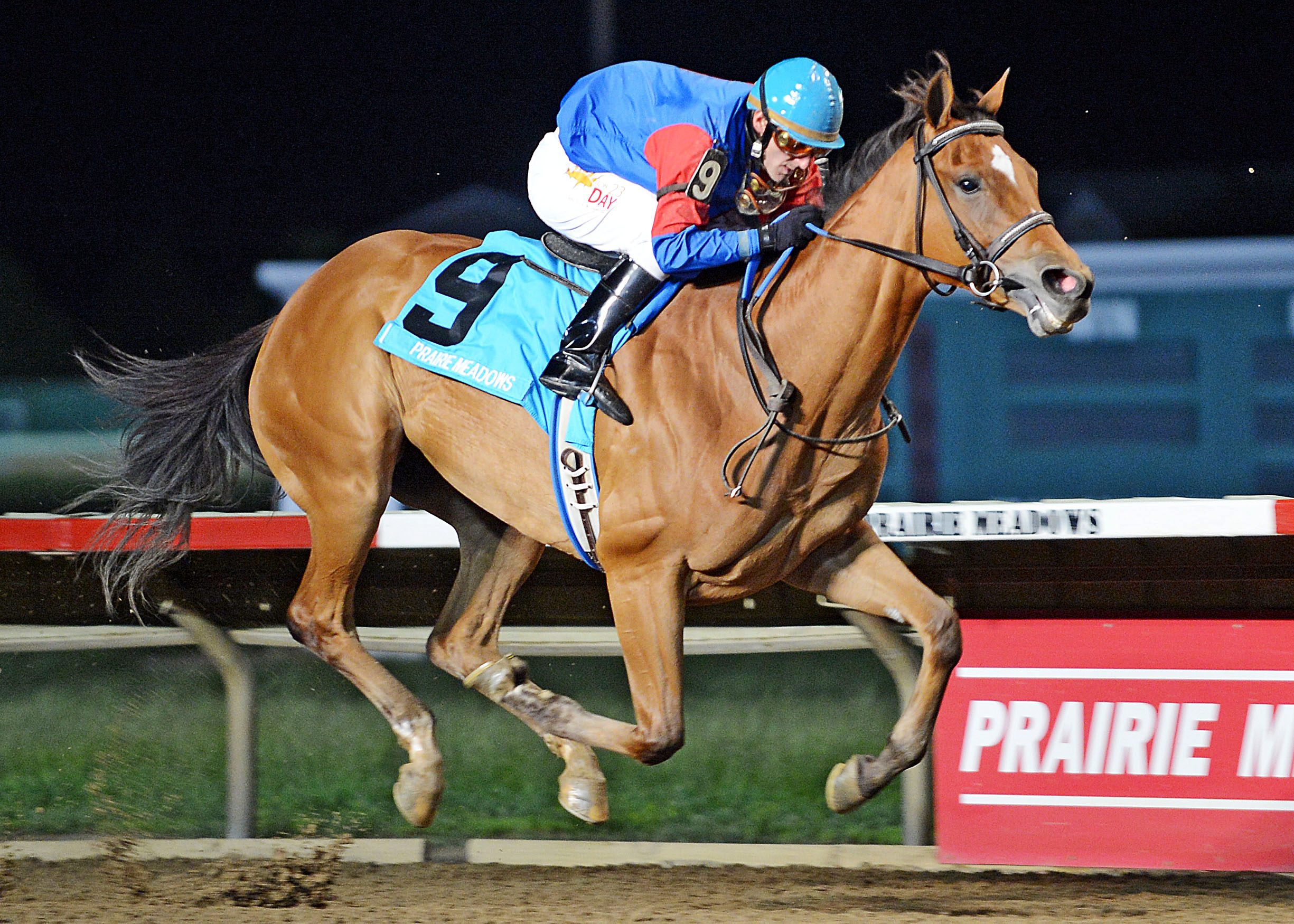 Hitechnoweenie wins the 2013 Panther Stakes