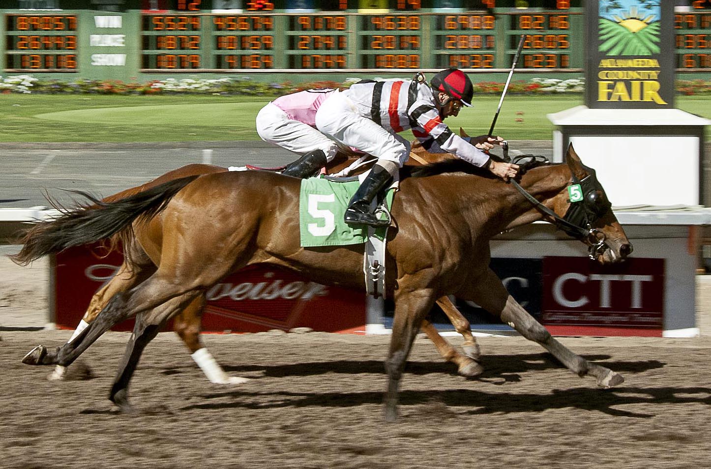 Highway Boss wins the Everett Nevin Stakes