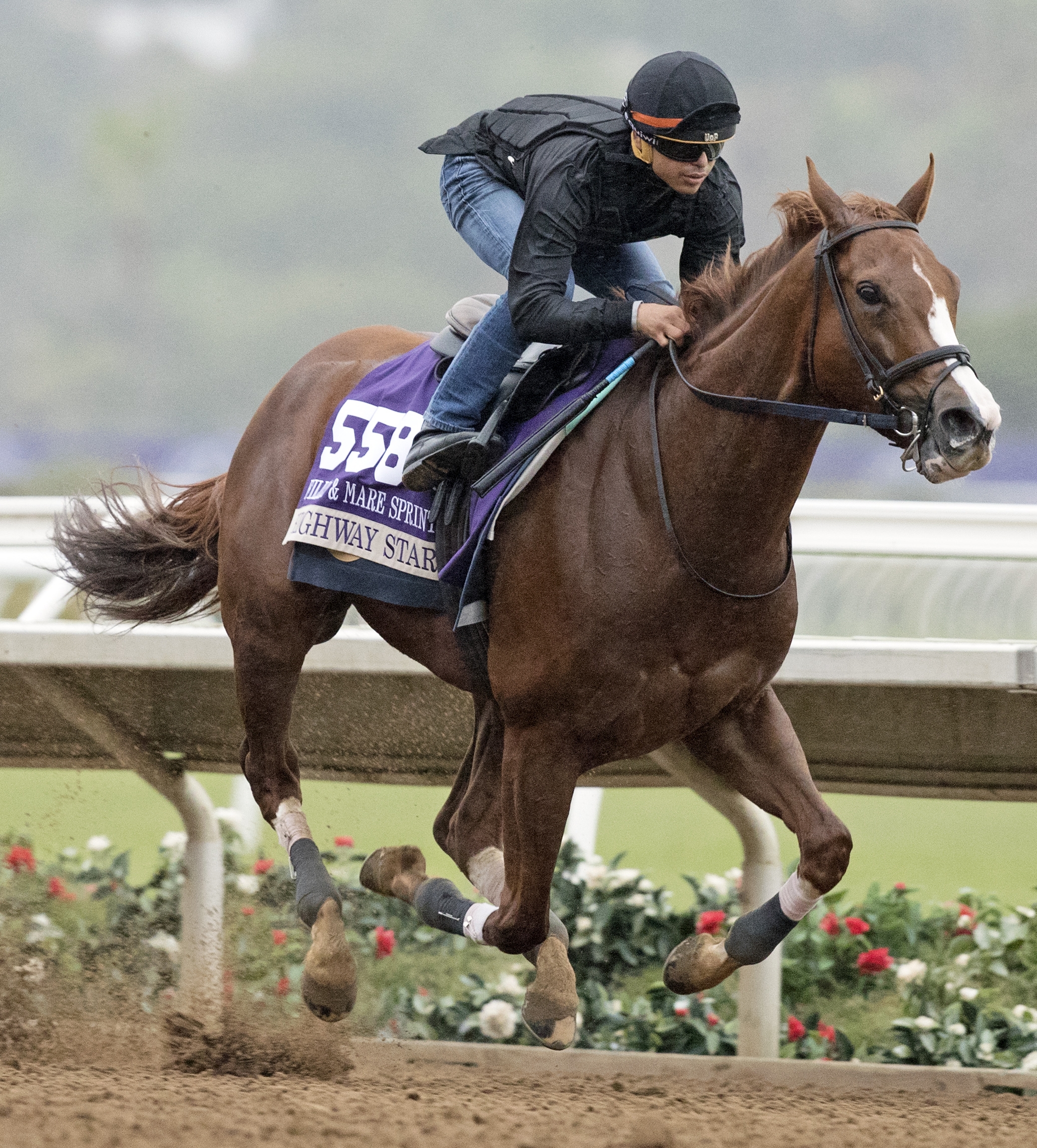 Highway Star trains at Del Mar on Oct. 31, 2017