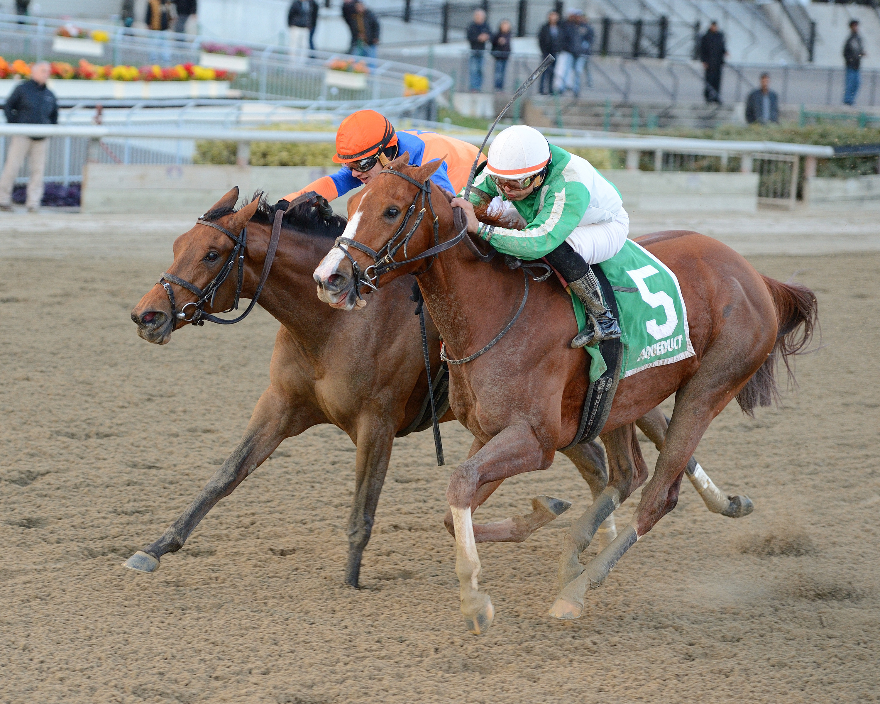 Highway Star wins the Go for Wand