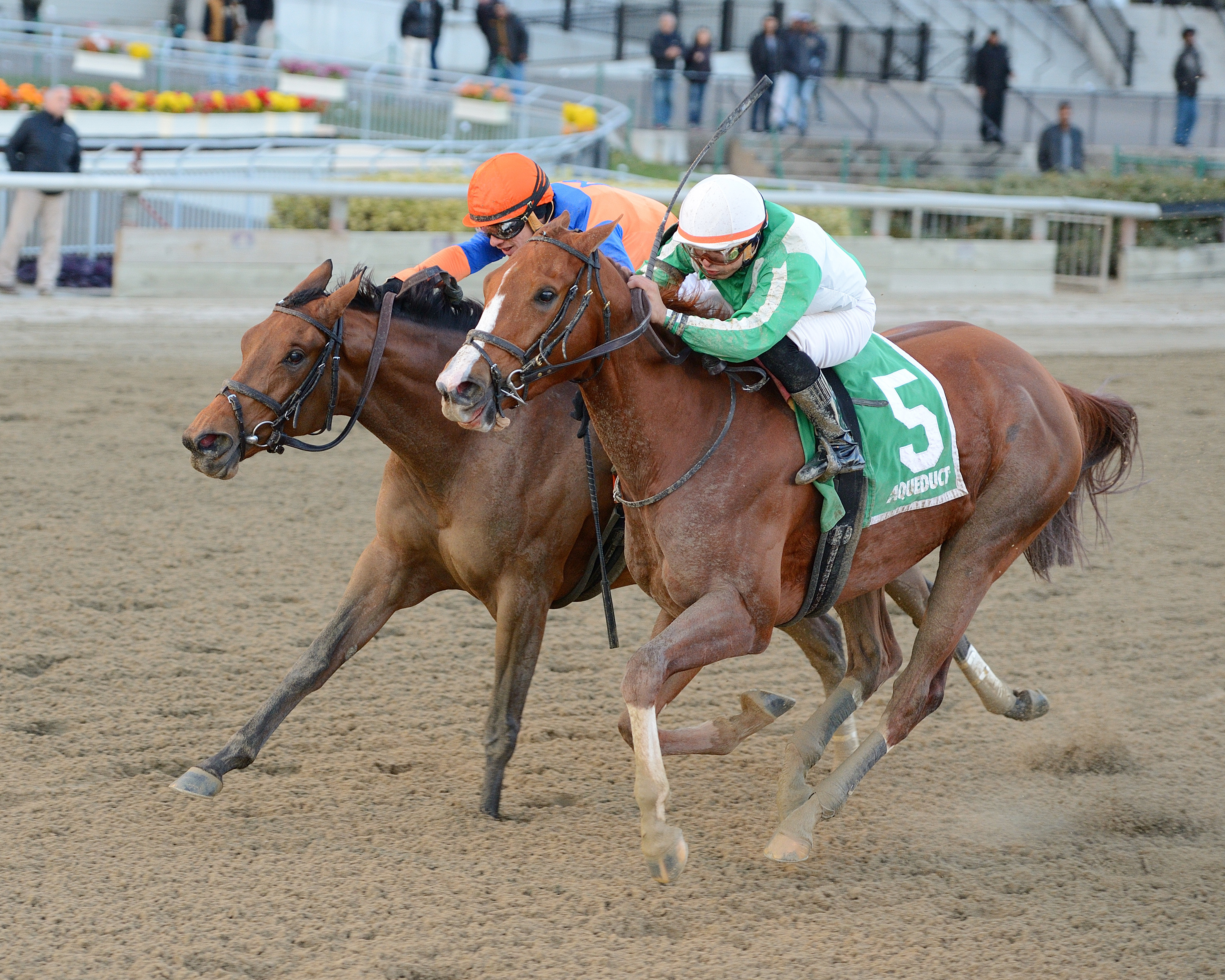 Highway Star wins the Go for Wand