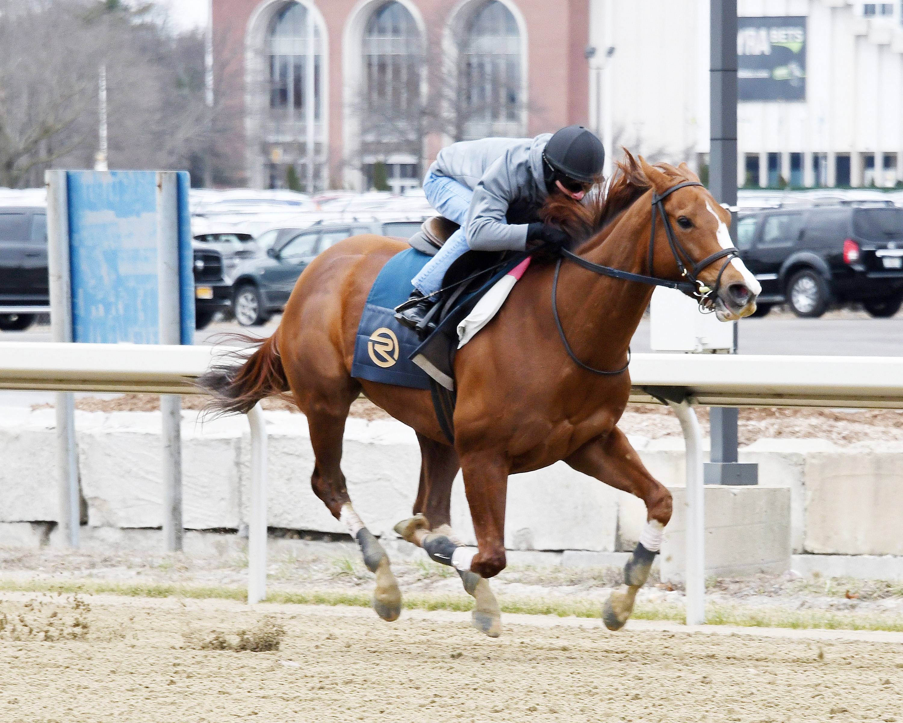Highway Star trains at Aqueduct on March 4
