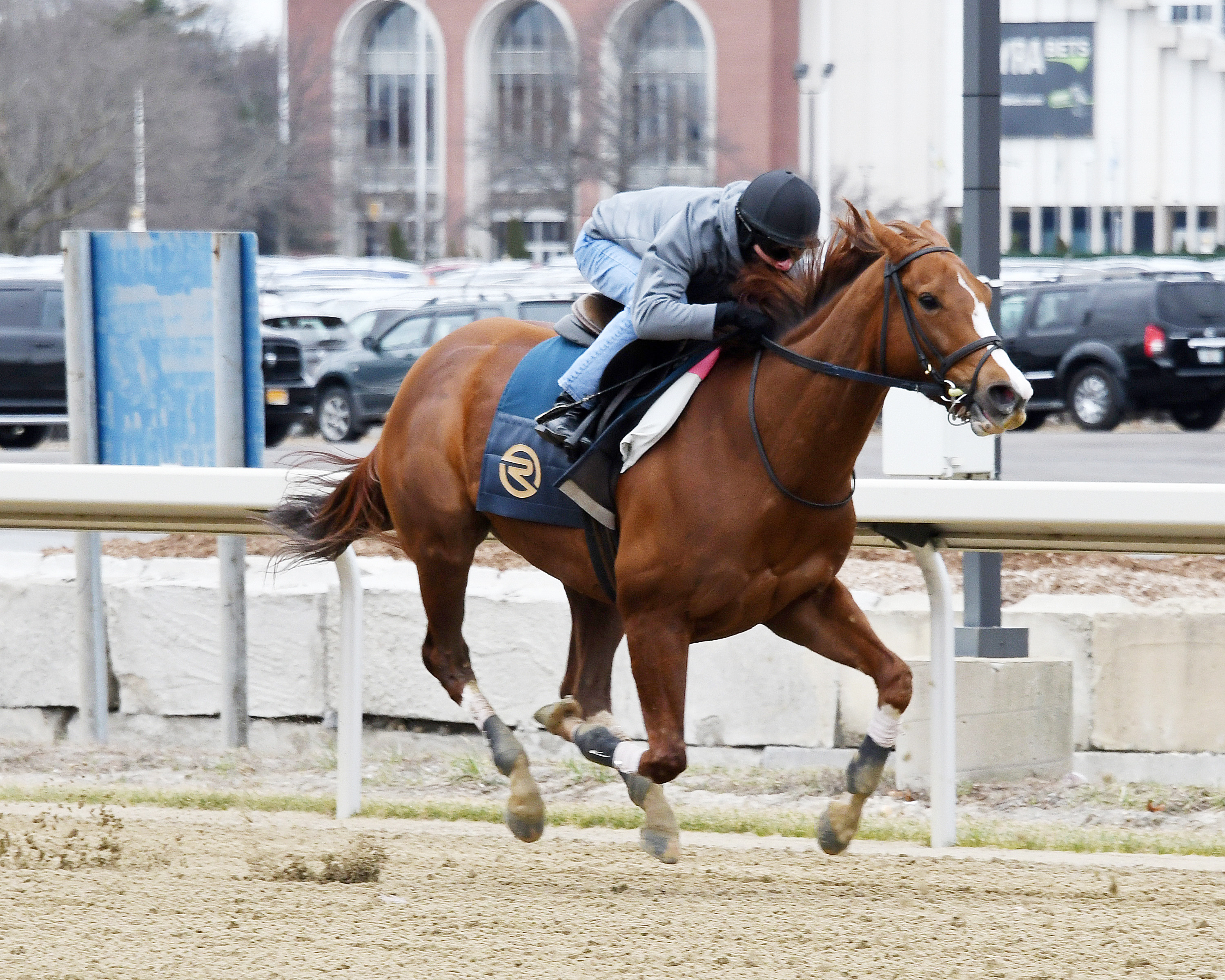 Highway Star trains at Belmont Park on March 4