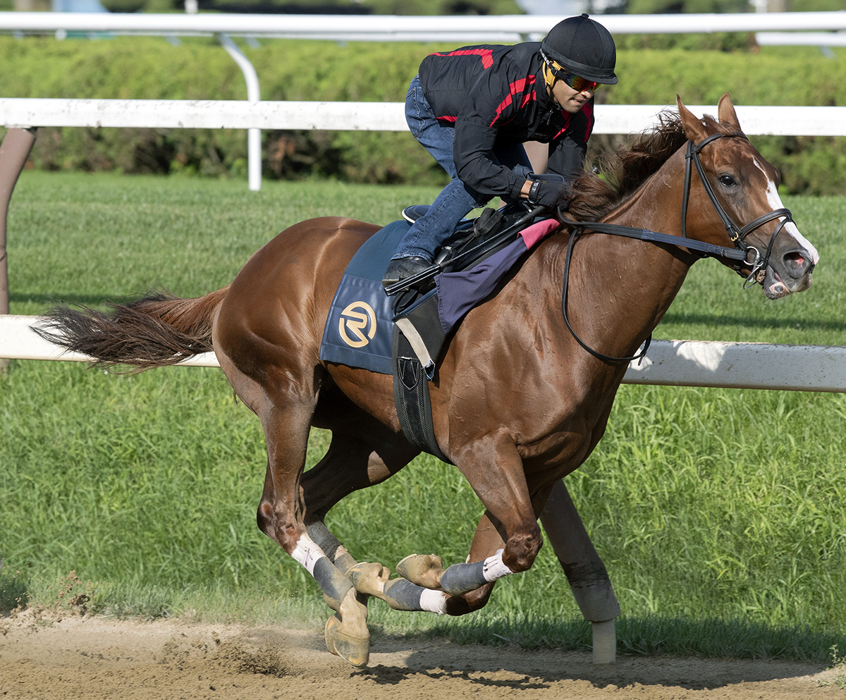 Highway Star trains at Saratoga on Aug. 20