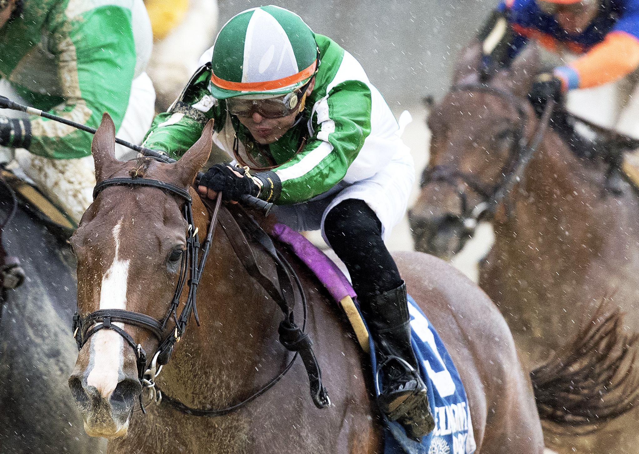 Highway Star wins the 2017 Ruffian Stakes