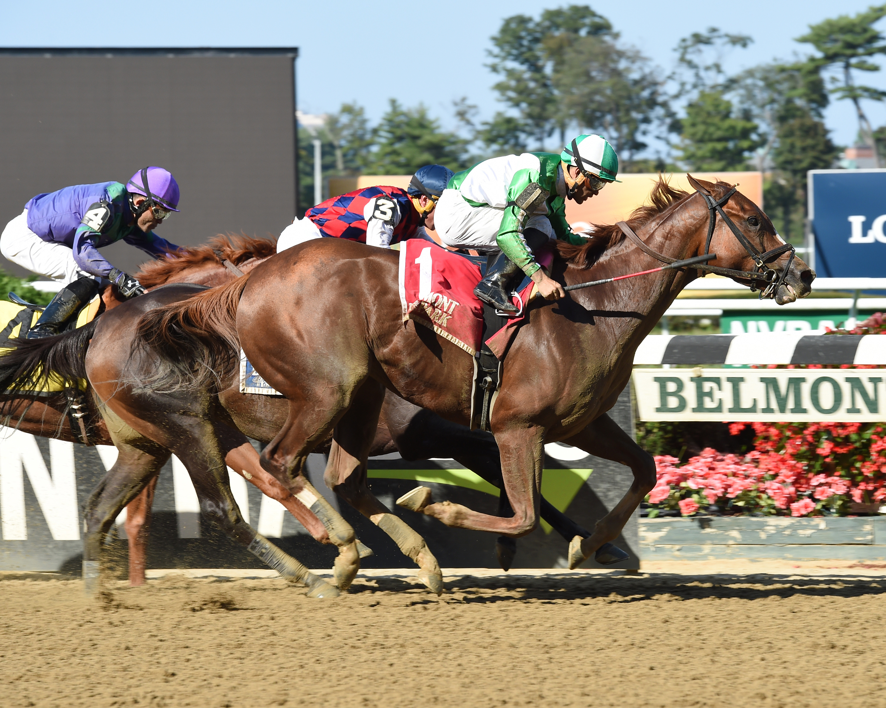 Highway Star wins the 2017 Gallant Bloom