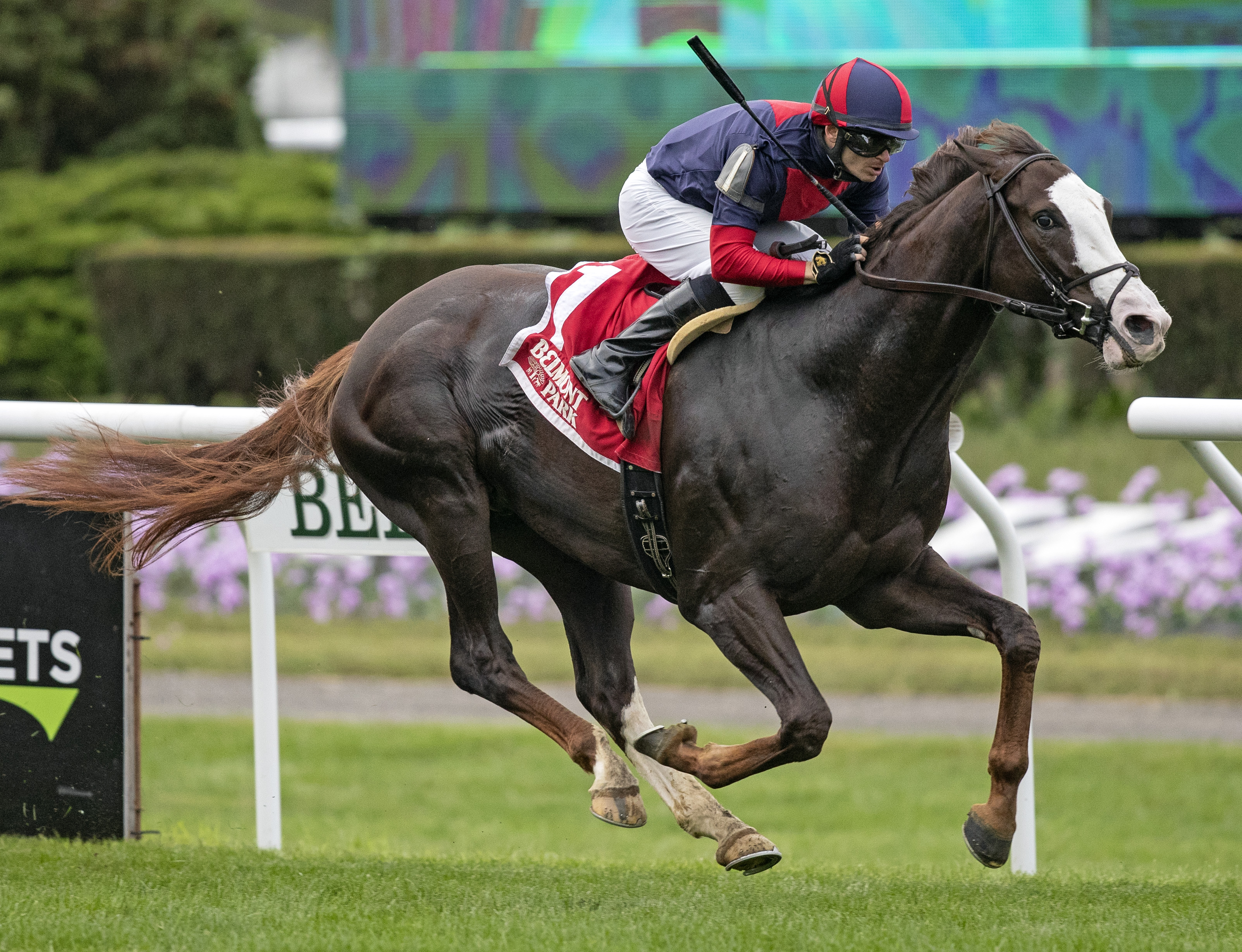 Have At It wins the 2018 Hill Prince Stakes