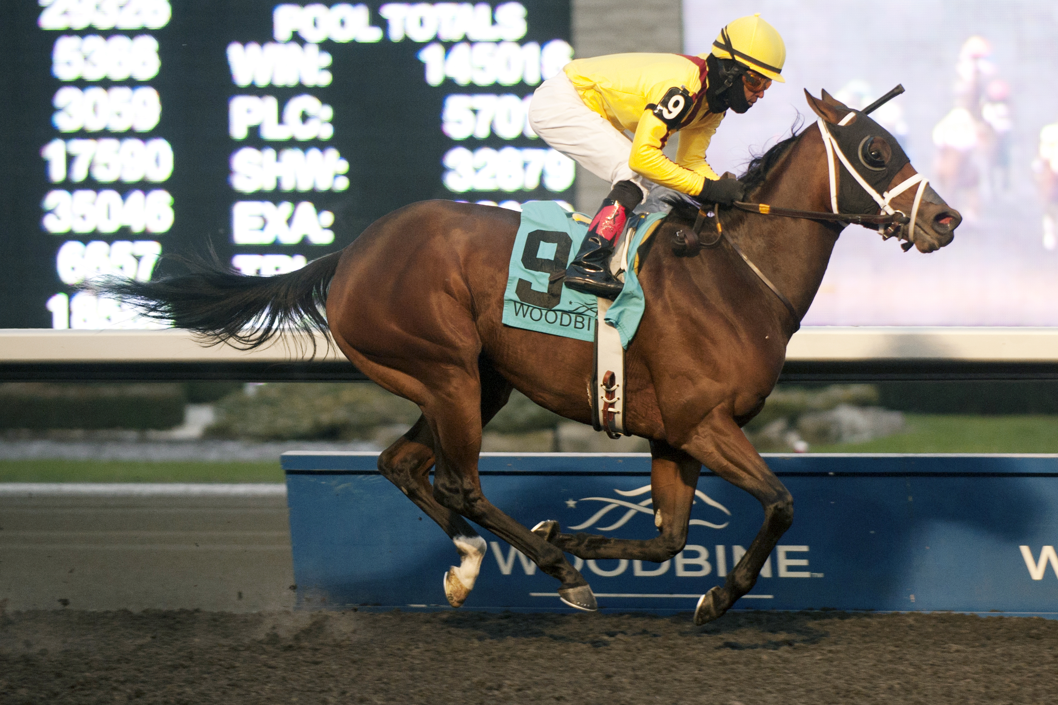 Hillaby wins the Bessarabian Stakes