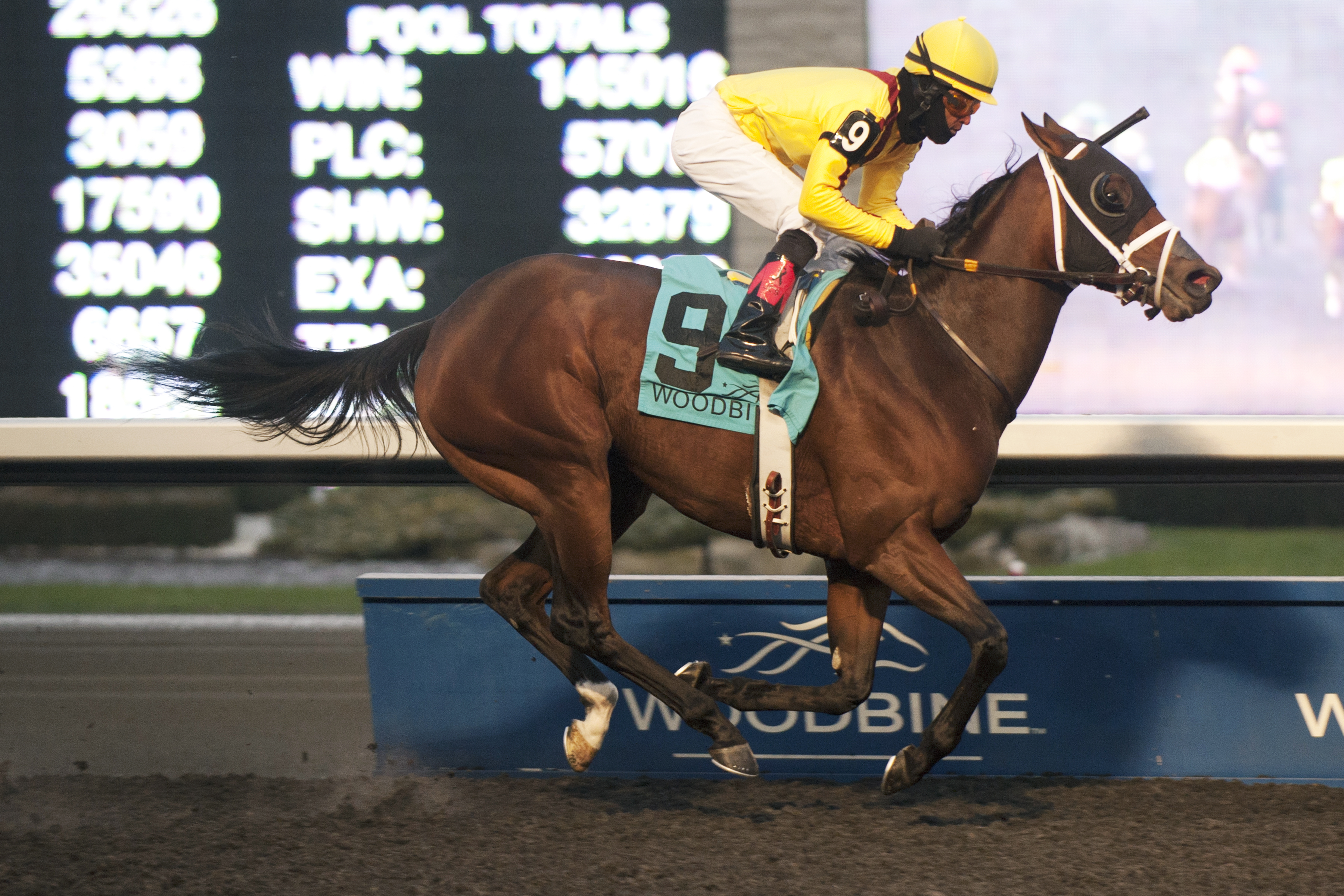 Hillaby wins the 2014 Bessarabian