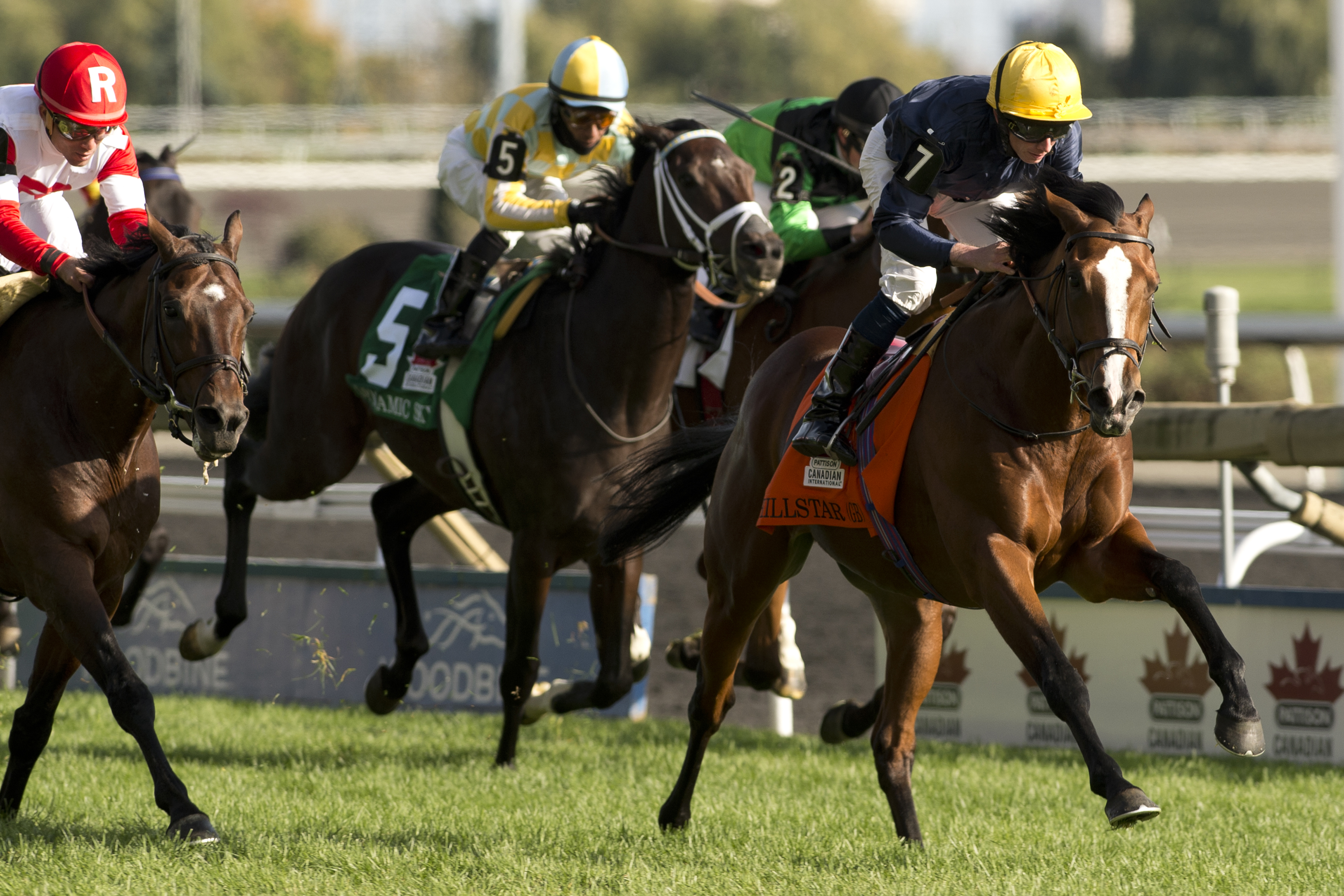 Hillstar wins 2014 Canadian International