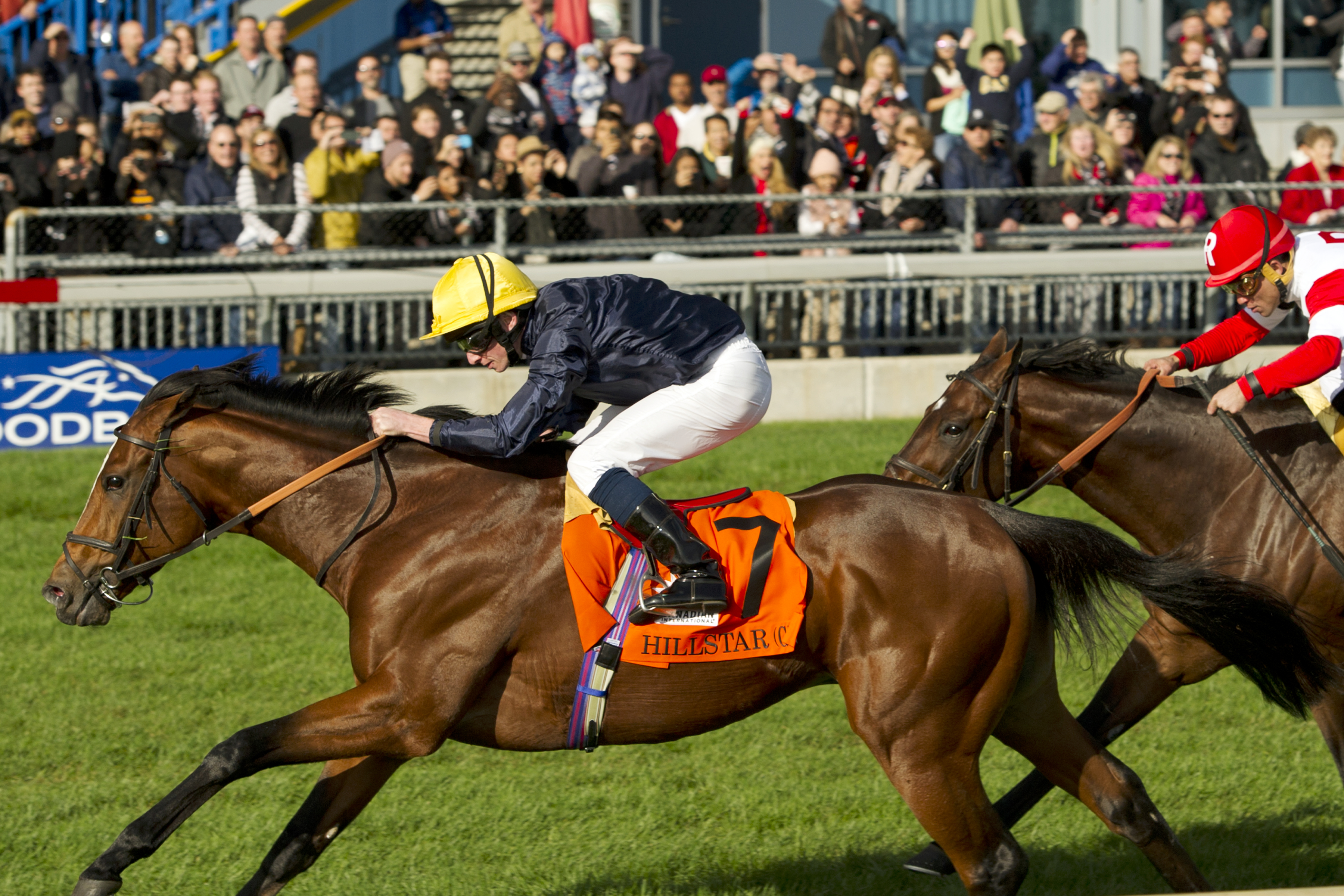 Hillstar wins the Canadian International