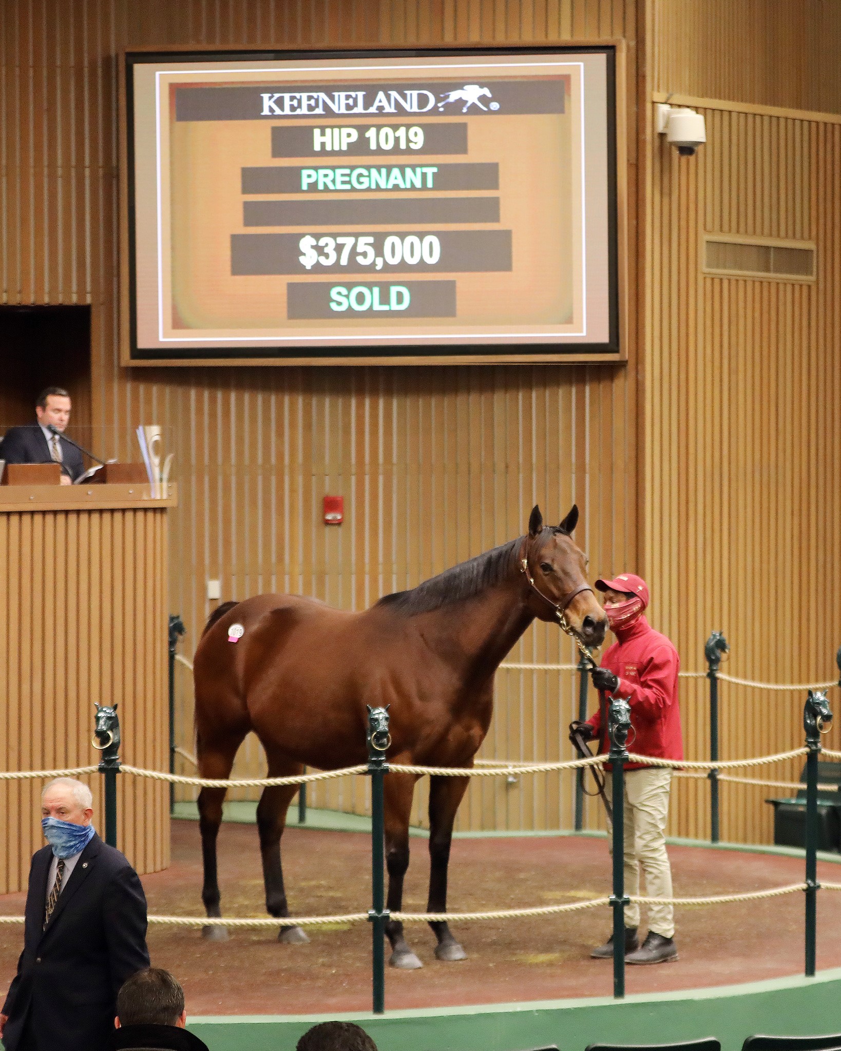 From the Hood/Keeneland sale
