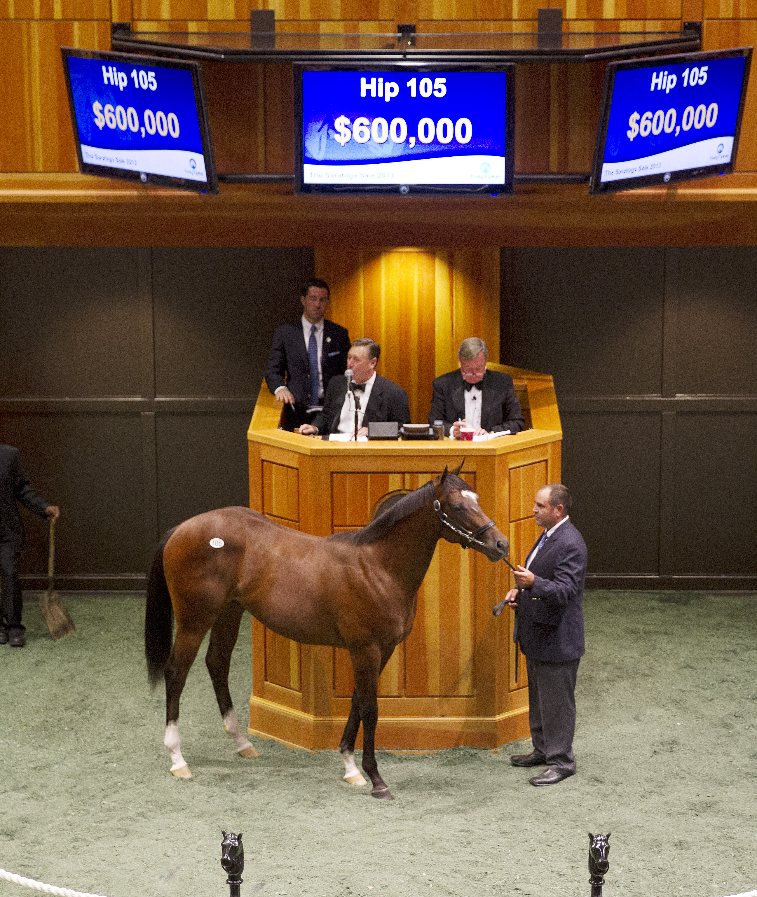 Fasig-Tipton session-topper: Indian Charlie colt
