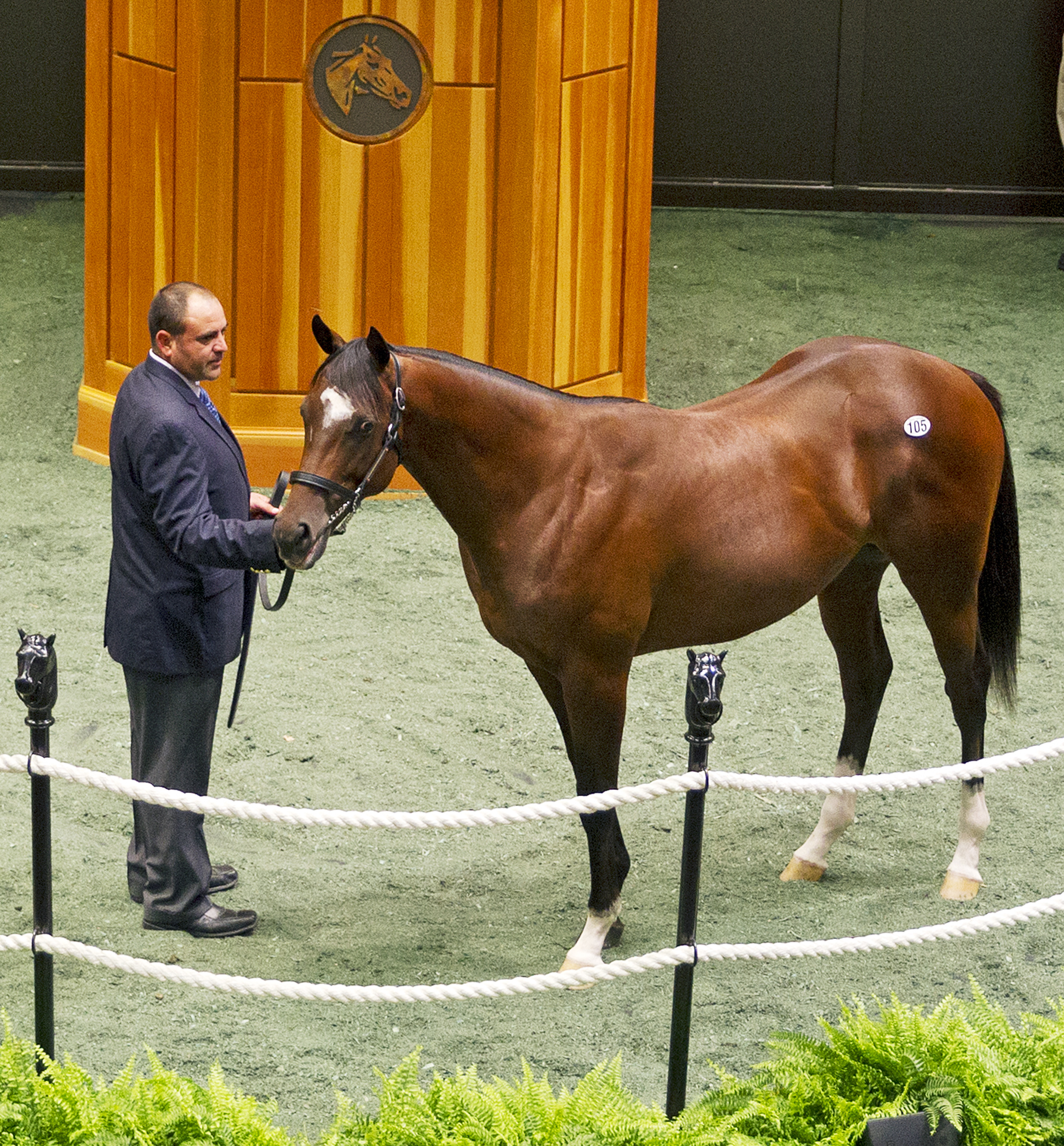 Indian Charlie colt sells for $750K at Fasig-Tipton Saratoga
