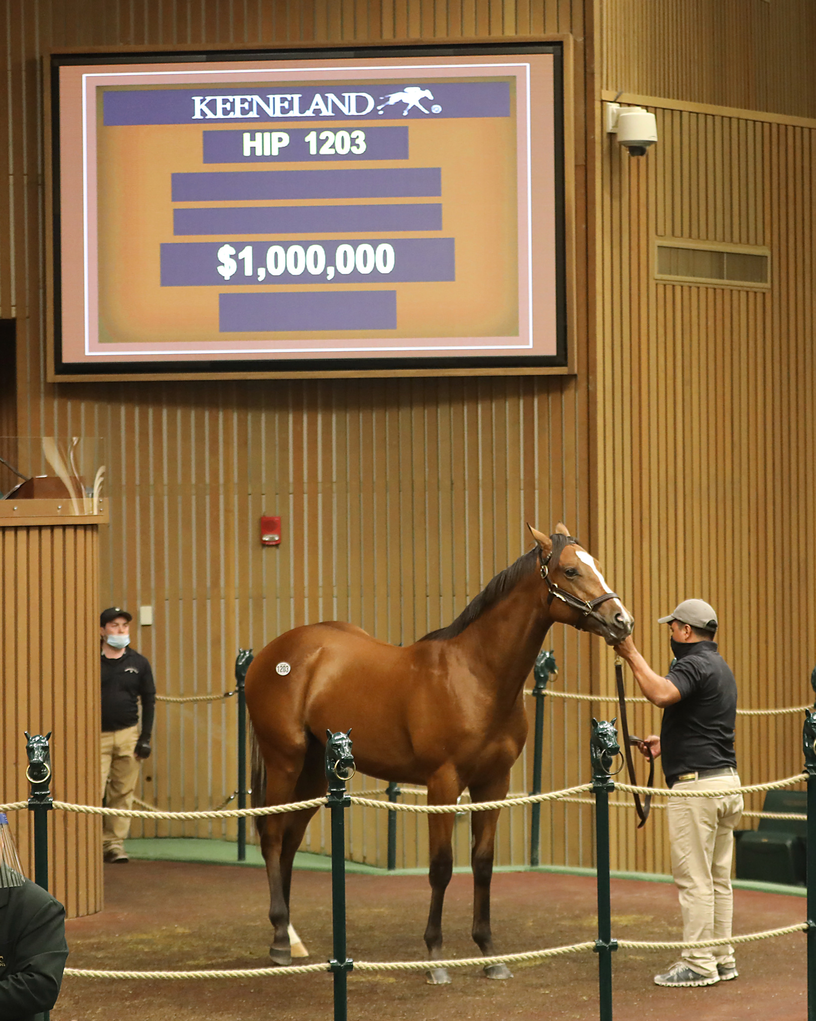 $1 million Into Mischief colt/Keeneland September
