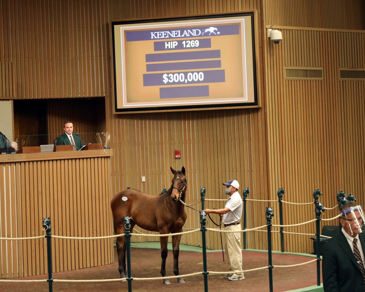 Mendelssohn weanling