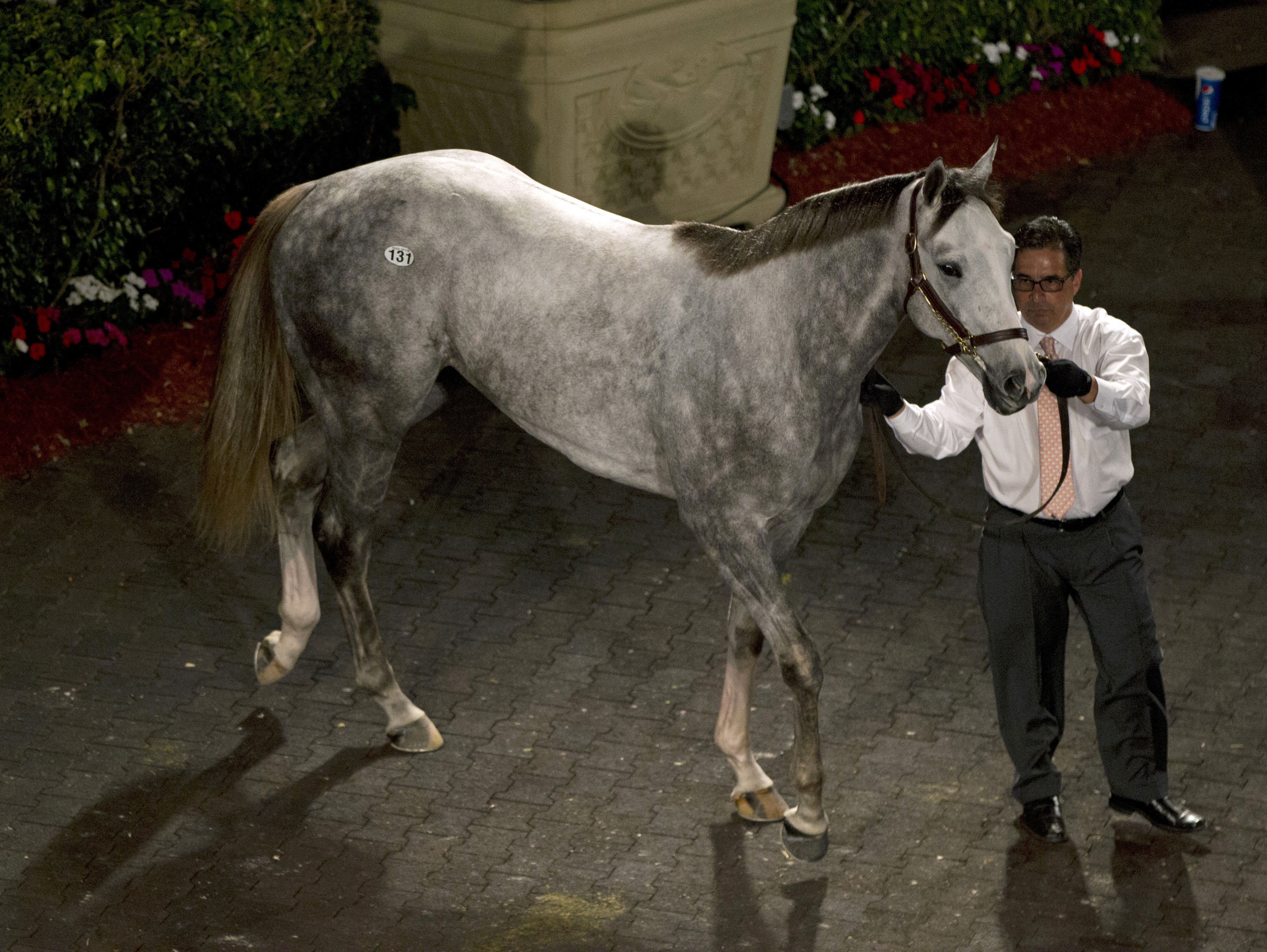 Gulfstream sale-topper