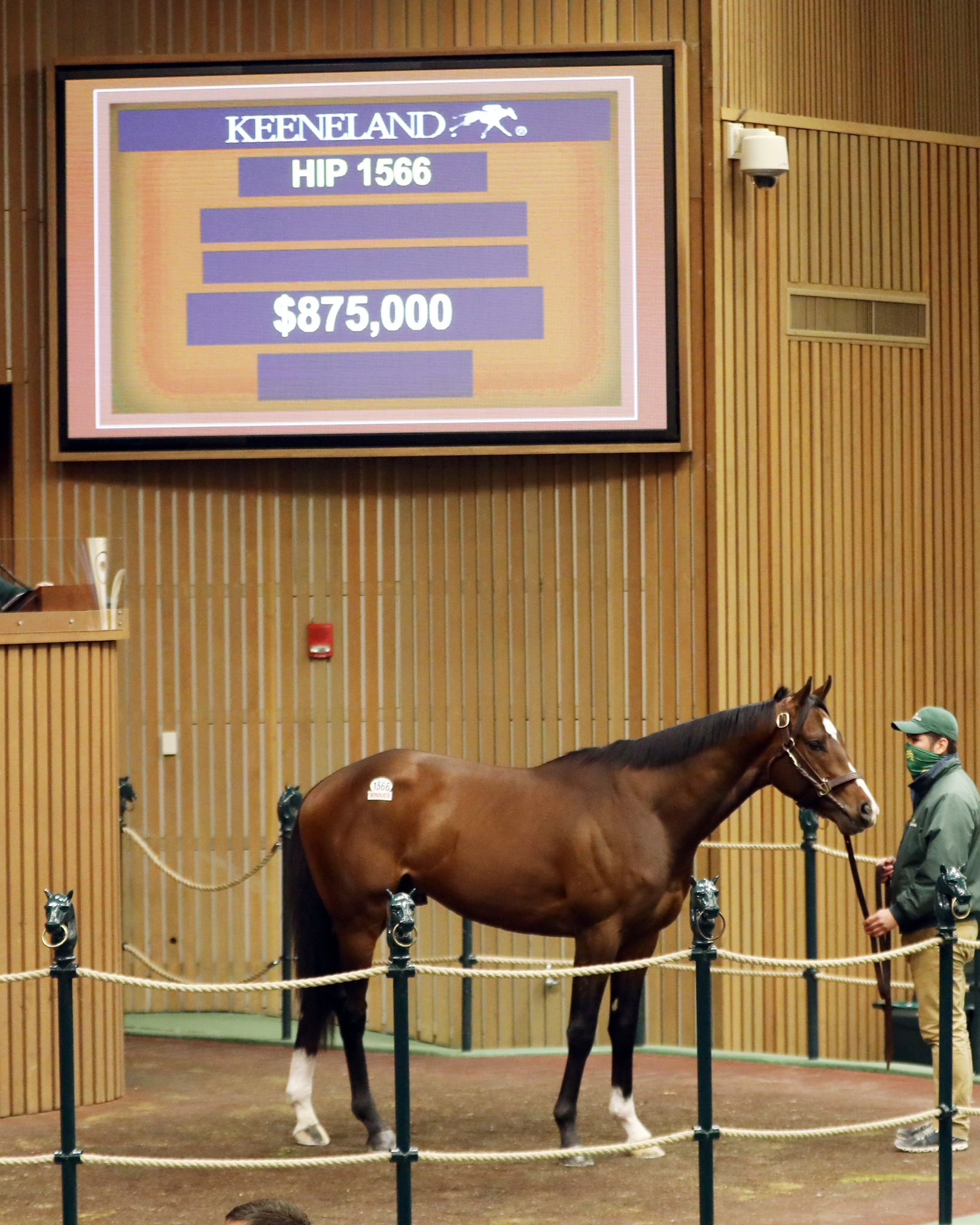Carillo/Keeneland sale