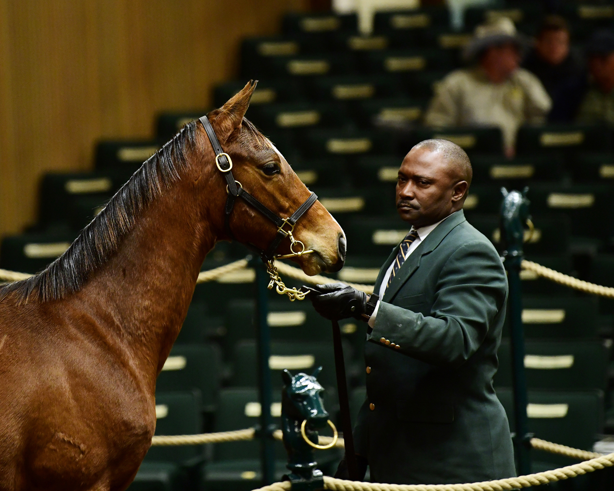Into_Mischief_weanling_KEENOV18_11.9.18