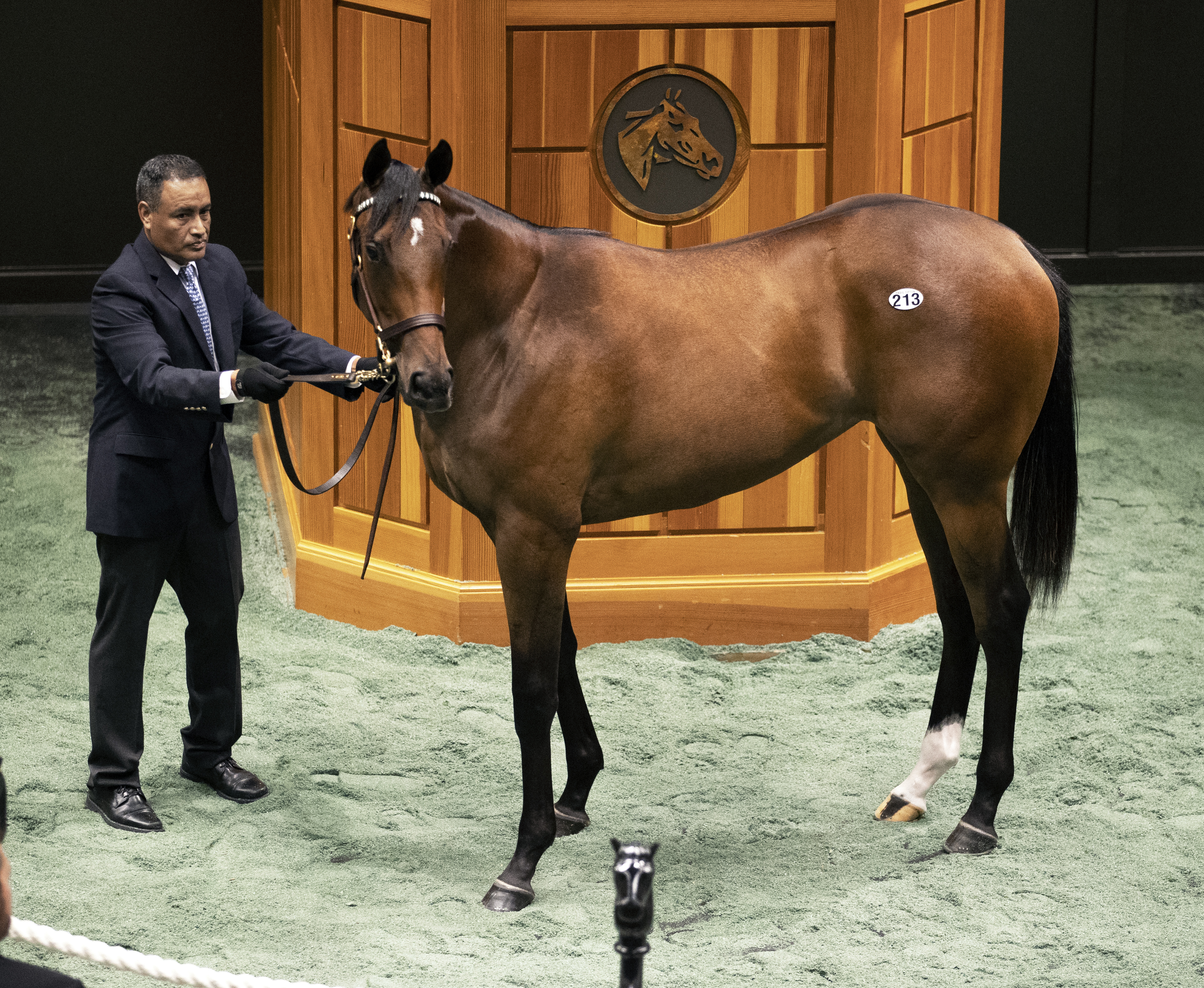 Hip 213