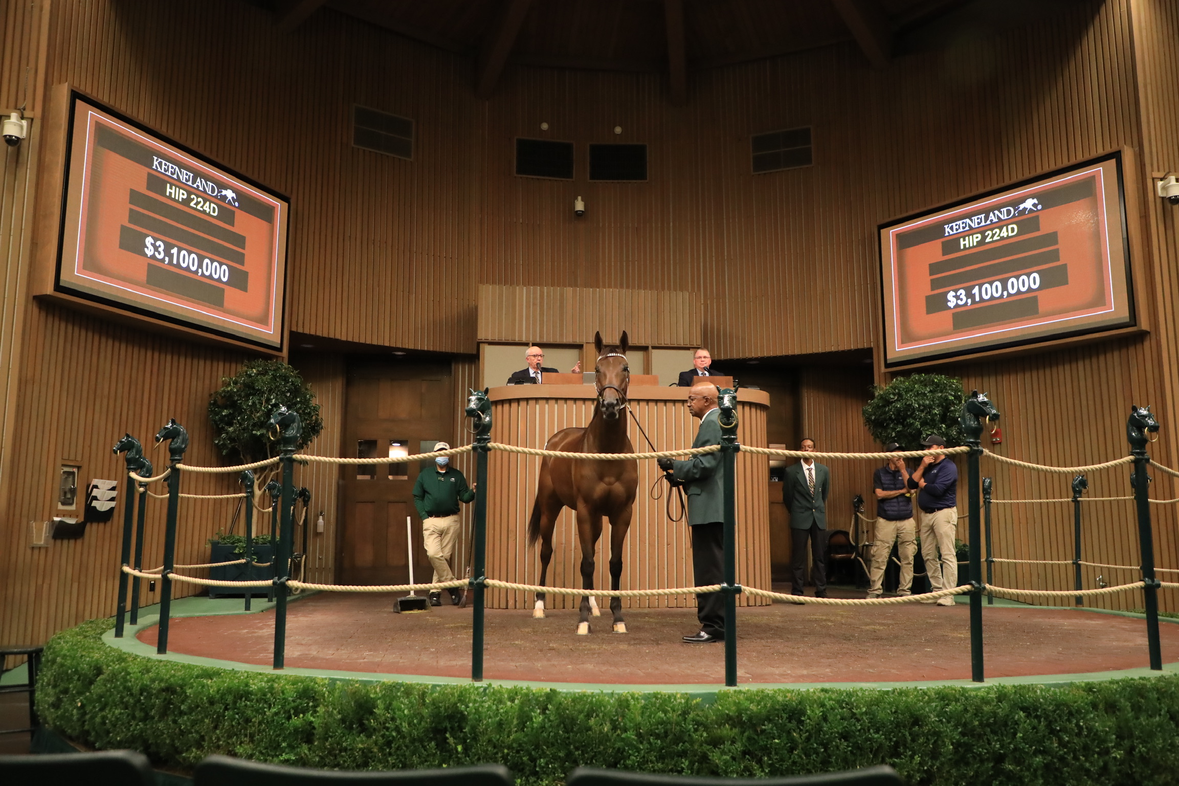 Hip 224D, Paris Lights, $3.1 Million