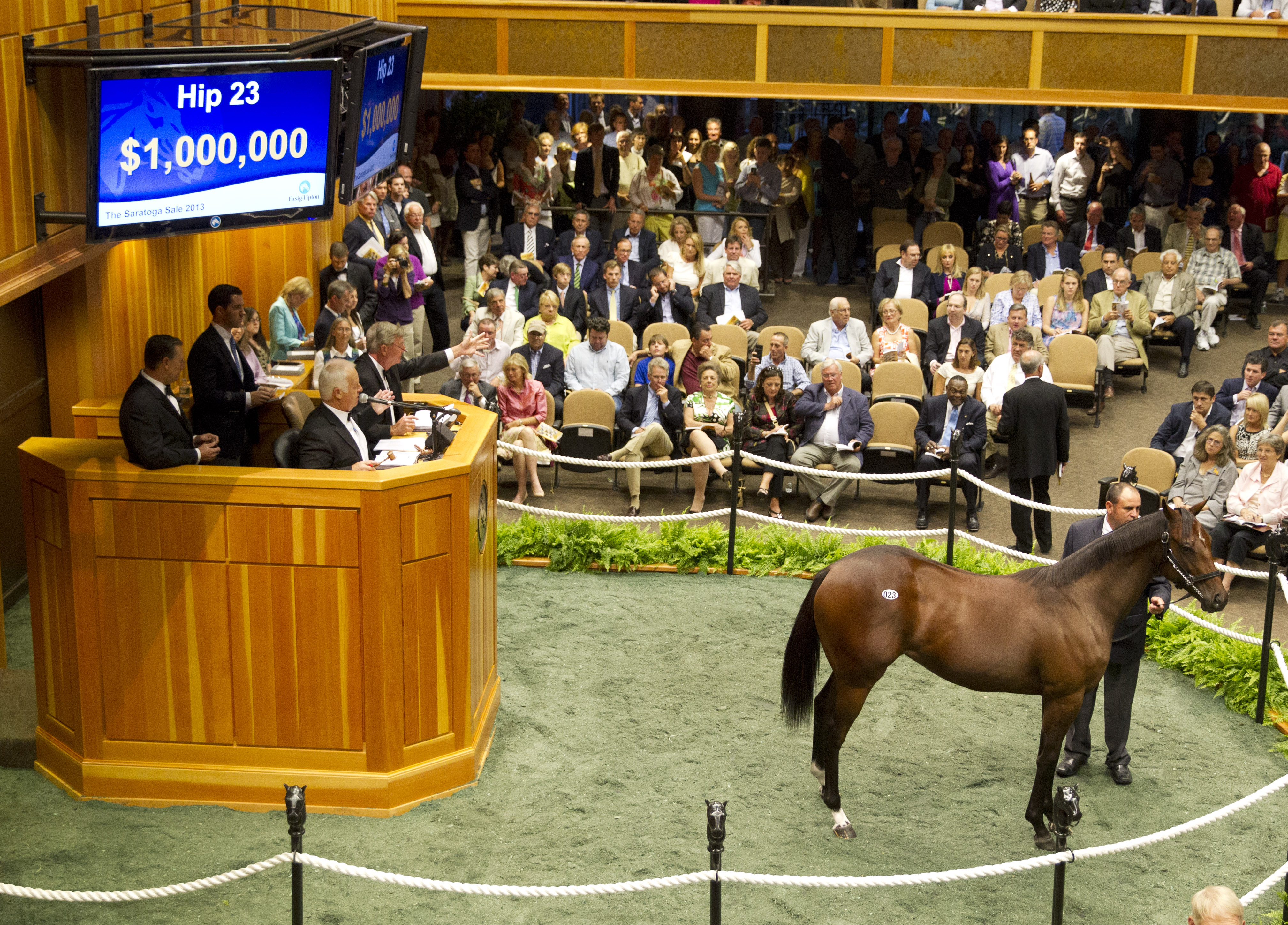 Distorted Humor filly - $1 million yearling at Fasig-Tipton Saratoga