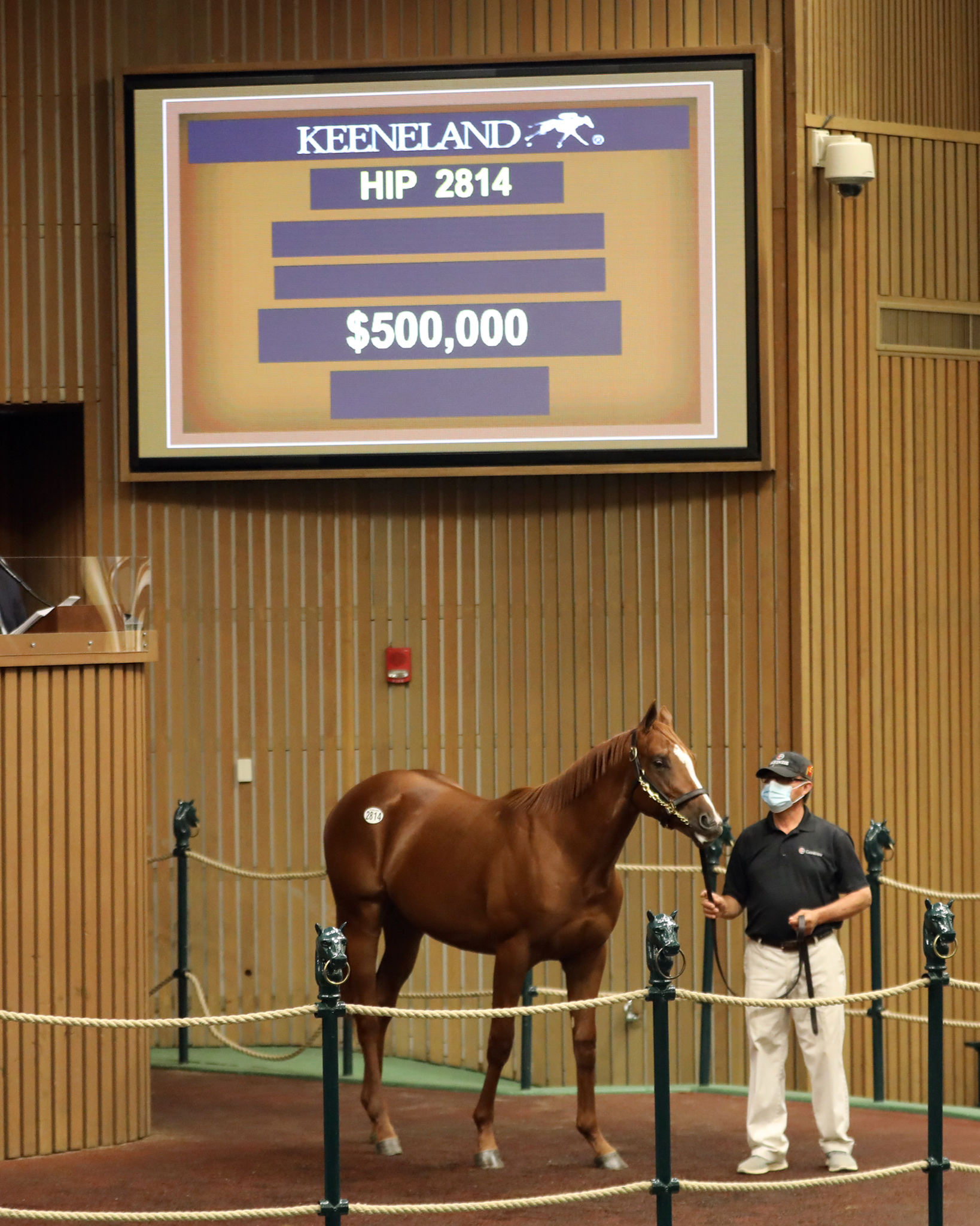 $500,000 Karakontie colt at Keeneland