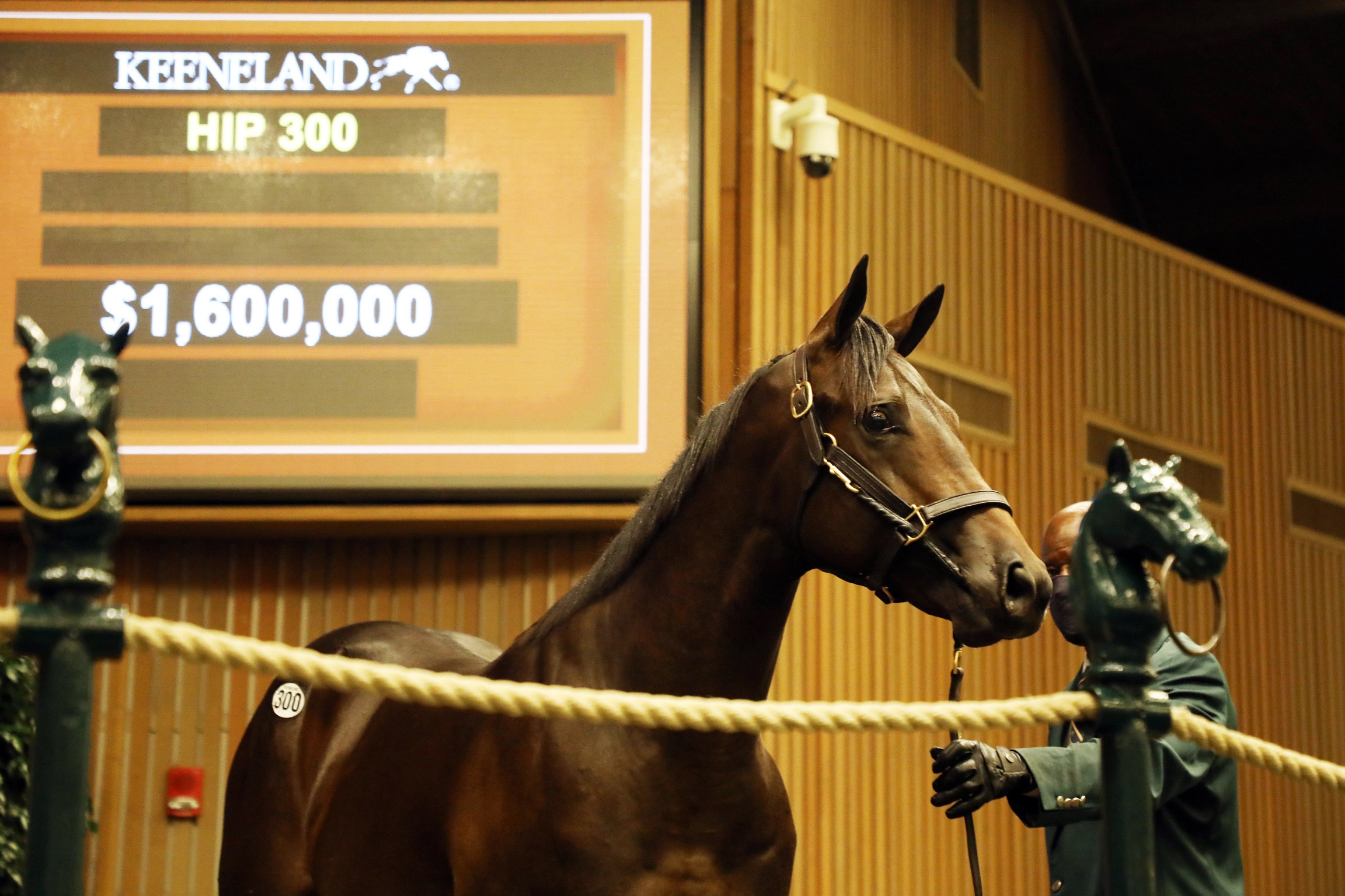 $1.6 million Quality Road colt/Keeneland September 2021