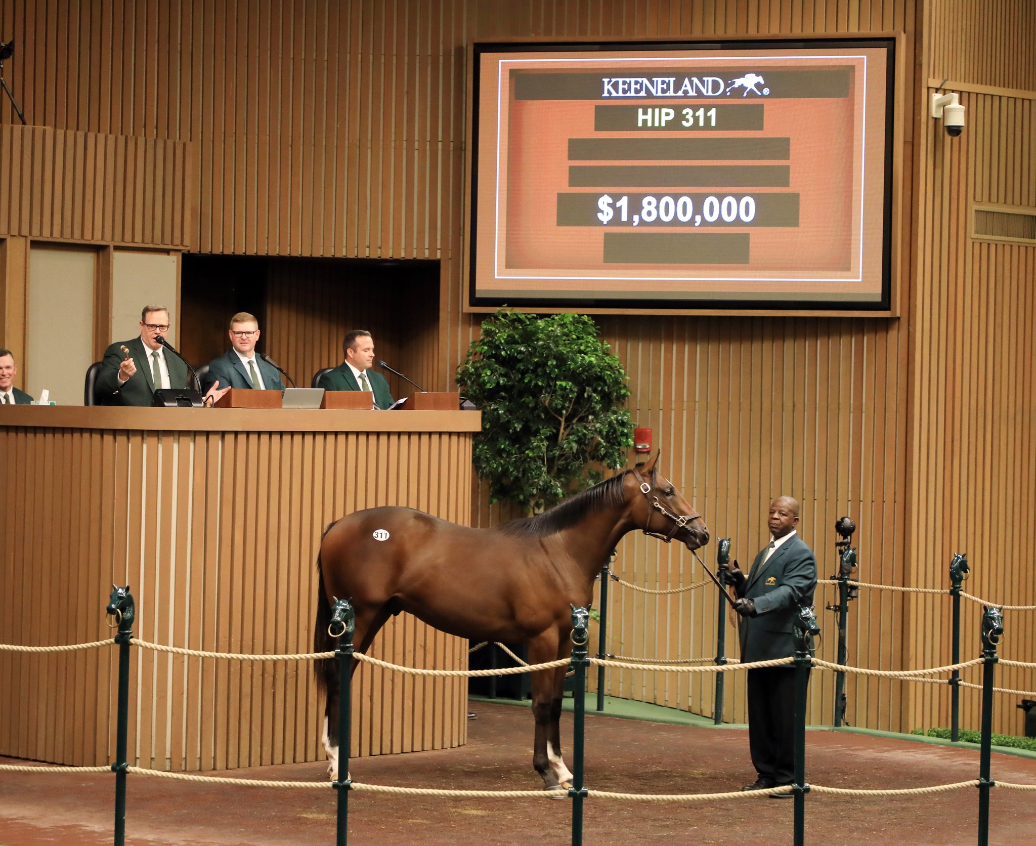 $1.8 Constitution colt