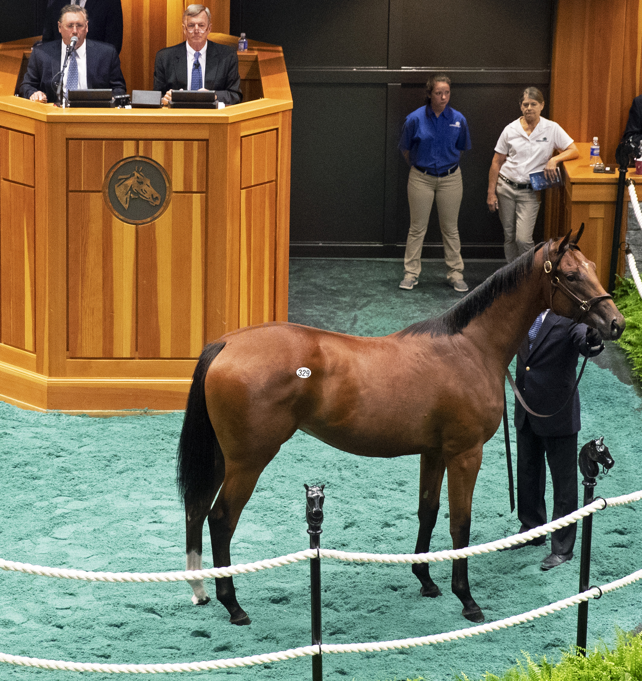 Hip329