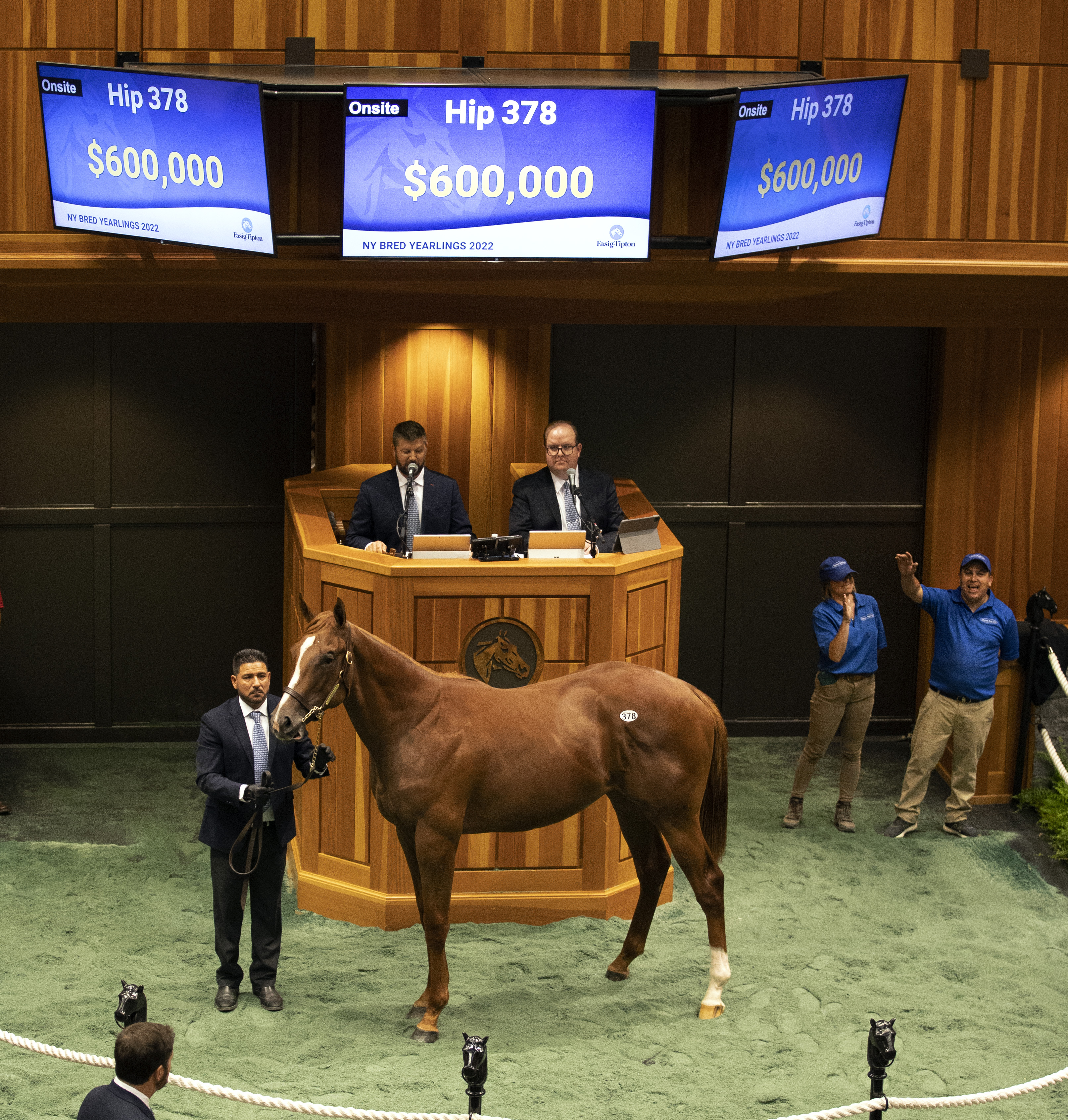 Hard Spun colt&rsquo;s $600K price tops FT New York-bred preferred 