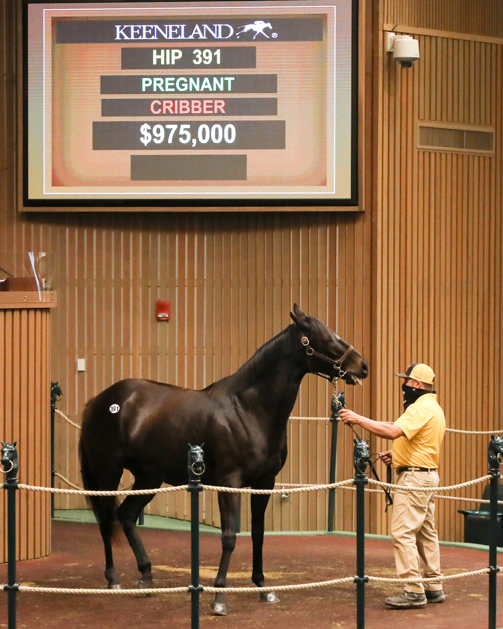 Pollara /Keeneland Sale
