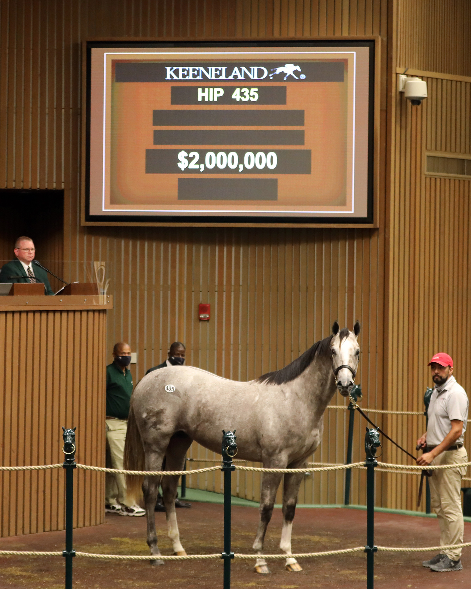 $2 million Tapit yearling/Keeneland