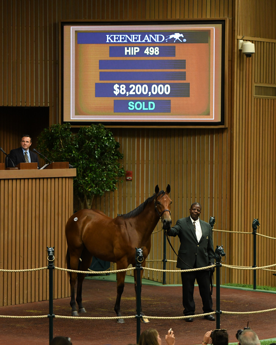 $8.2 million American Pharoah filly