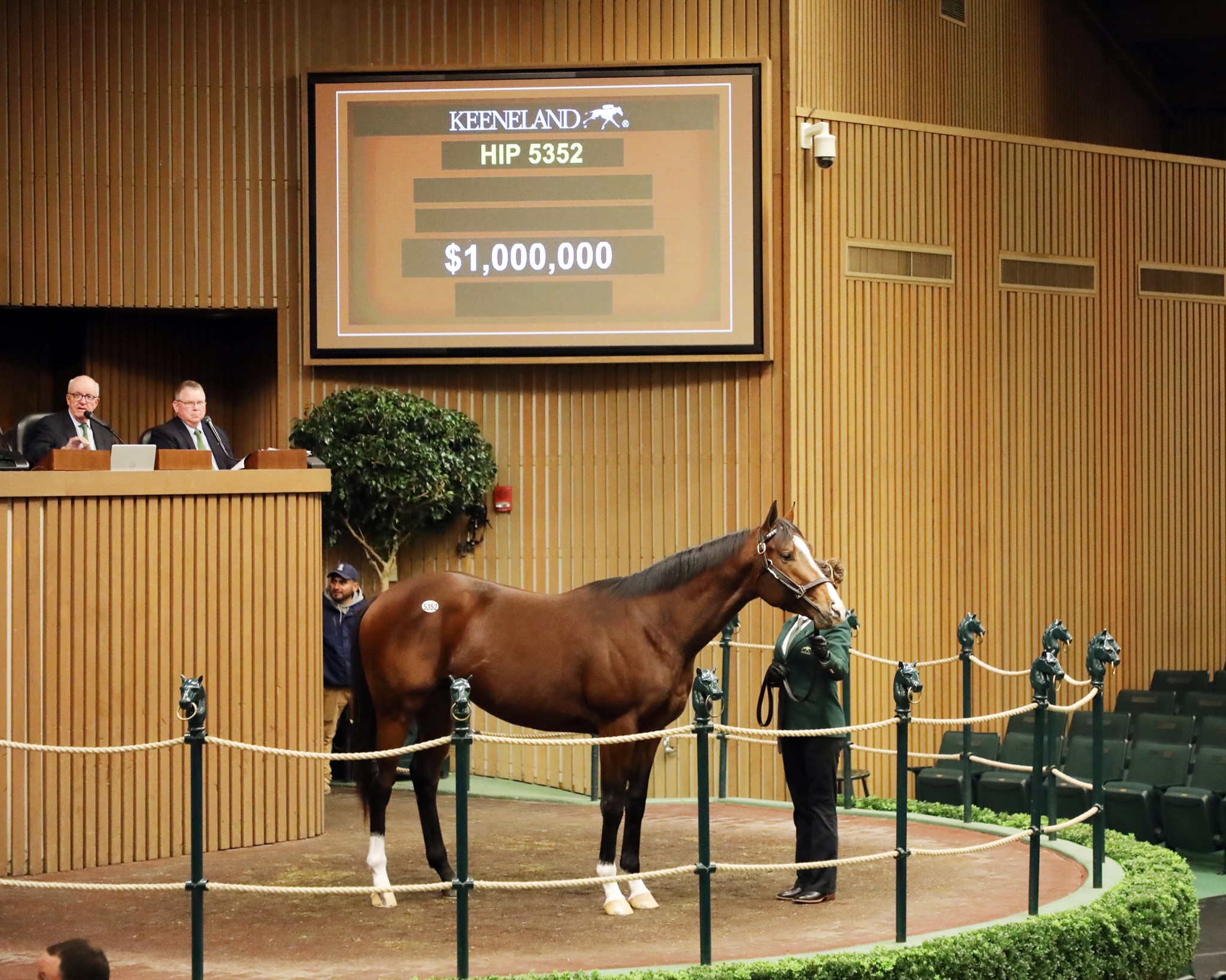 Into Mischief colt/Keeneland HORA sale