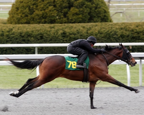 Dixie Union filly at Keeneland 2013 2-year-old breeze show