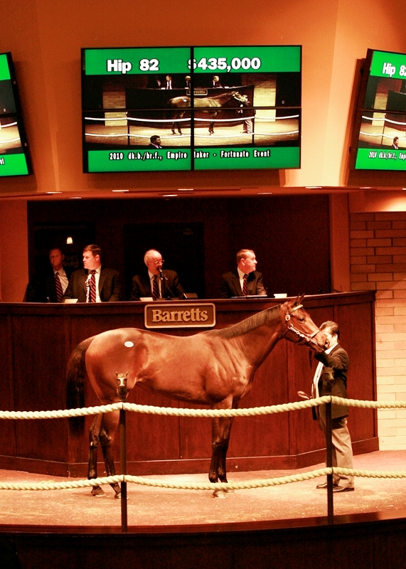 Barretts Hip 82