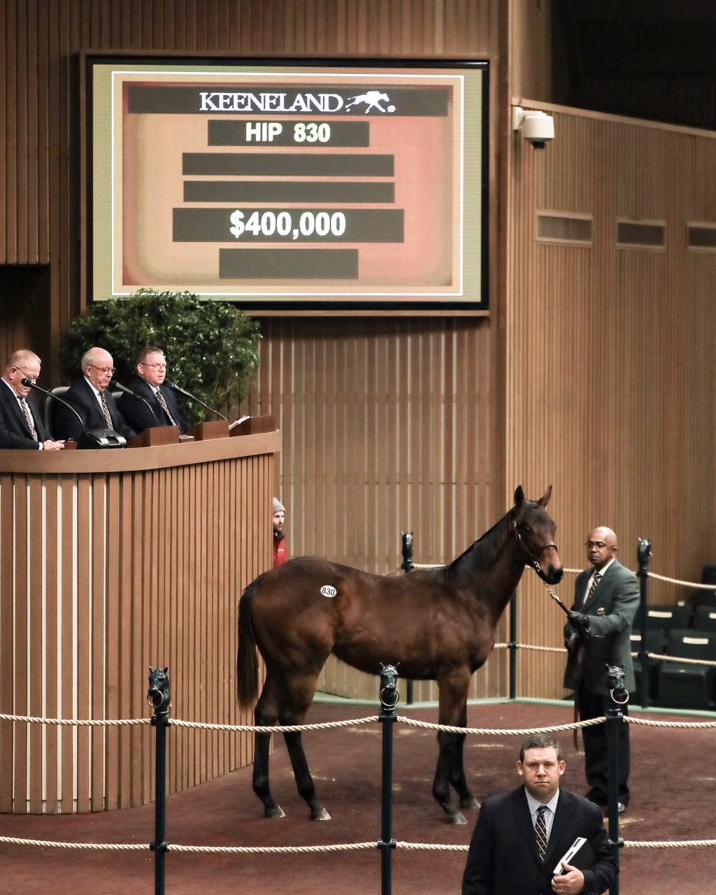 Uncle Mo Yearling /Keeneland January