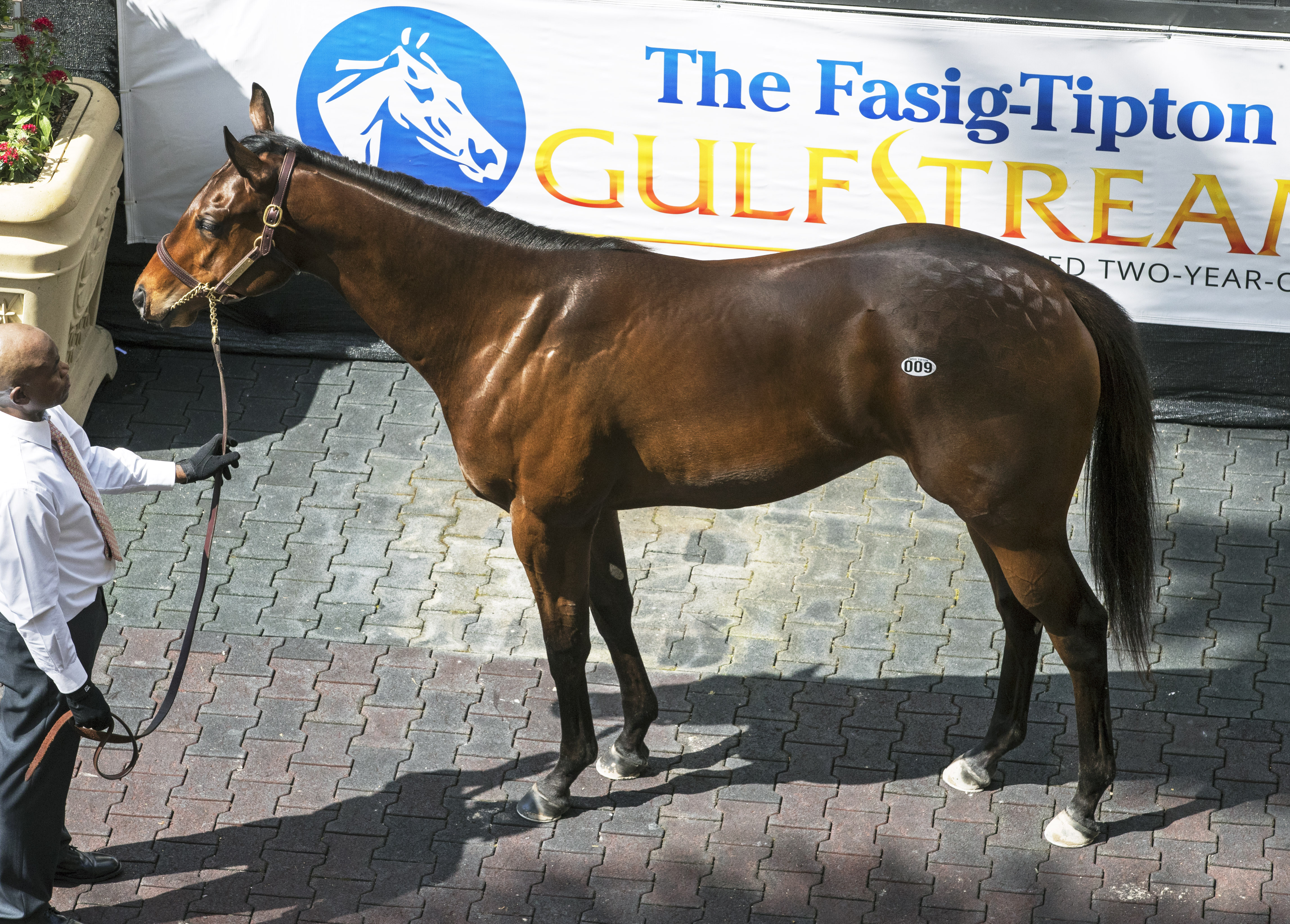 FTGulfstreamMedaglia2
