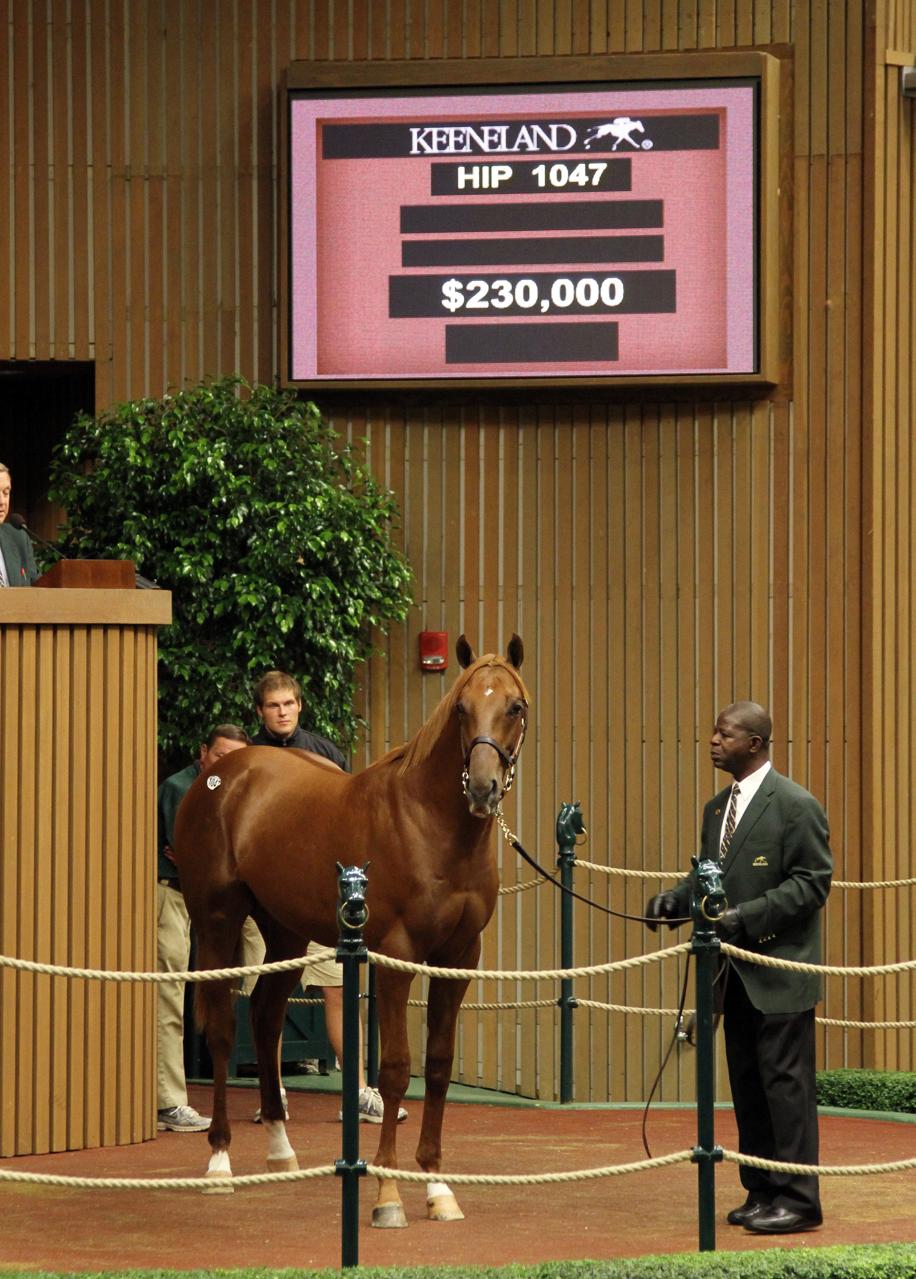 J Serino at the Keeneland September Sale