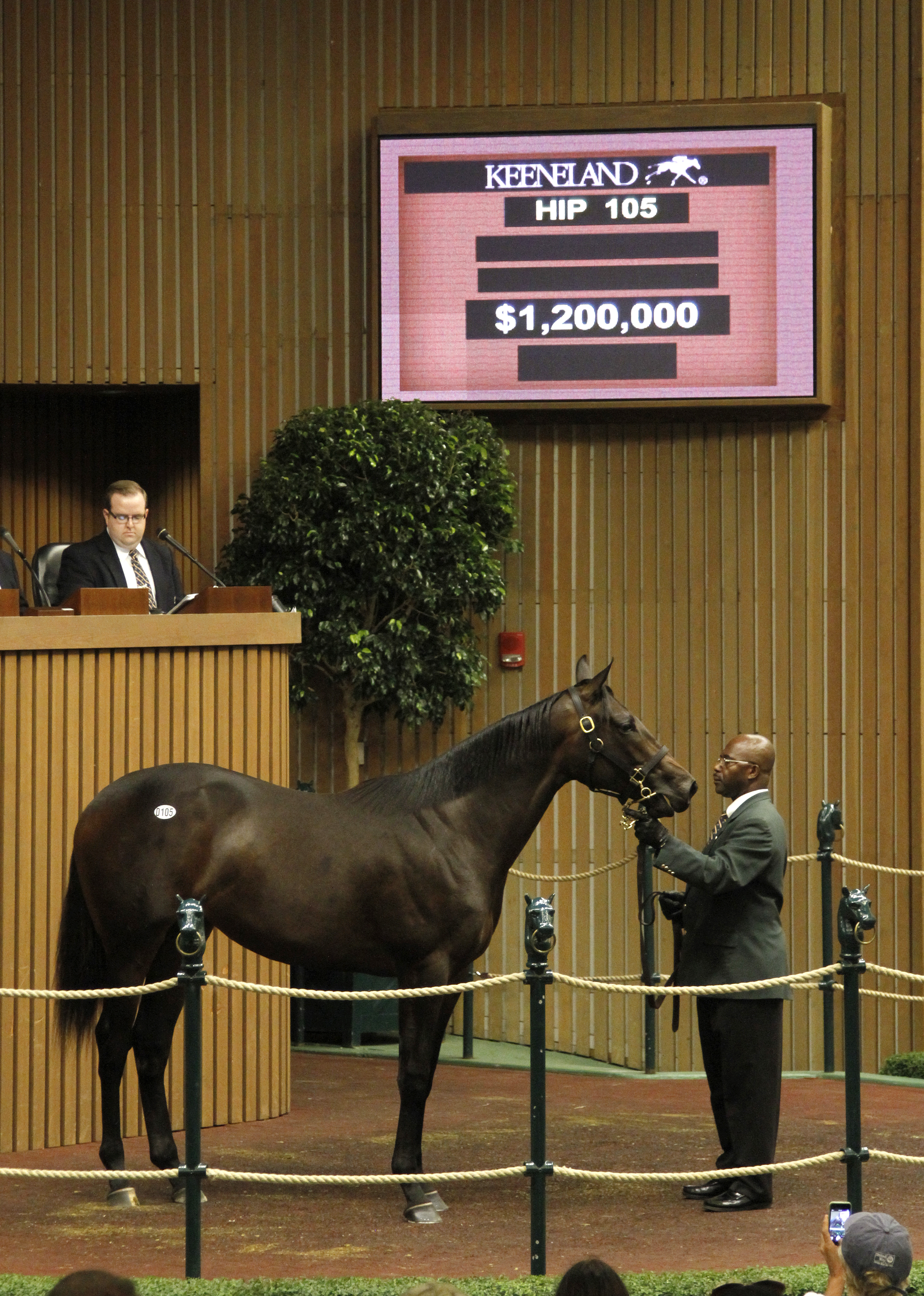 Keeneland September 2014 opening session topper - Bernardini filly