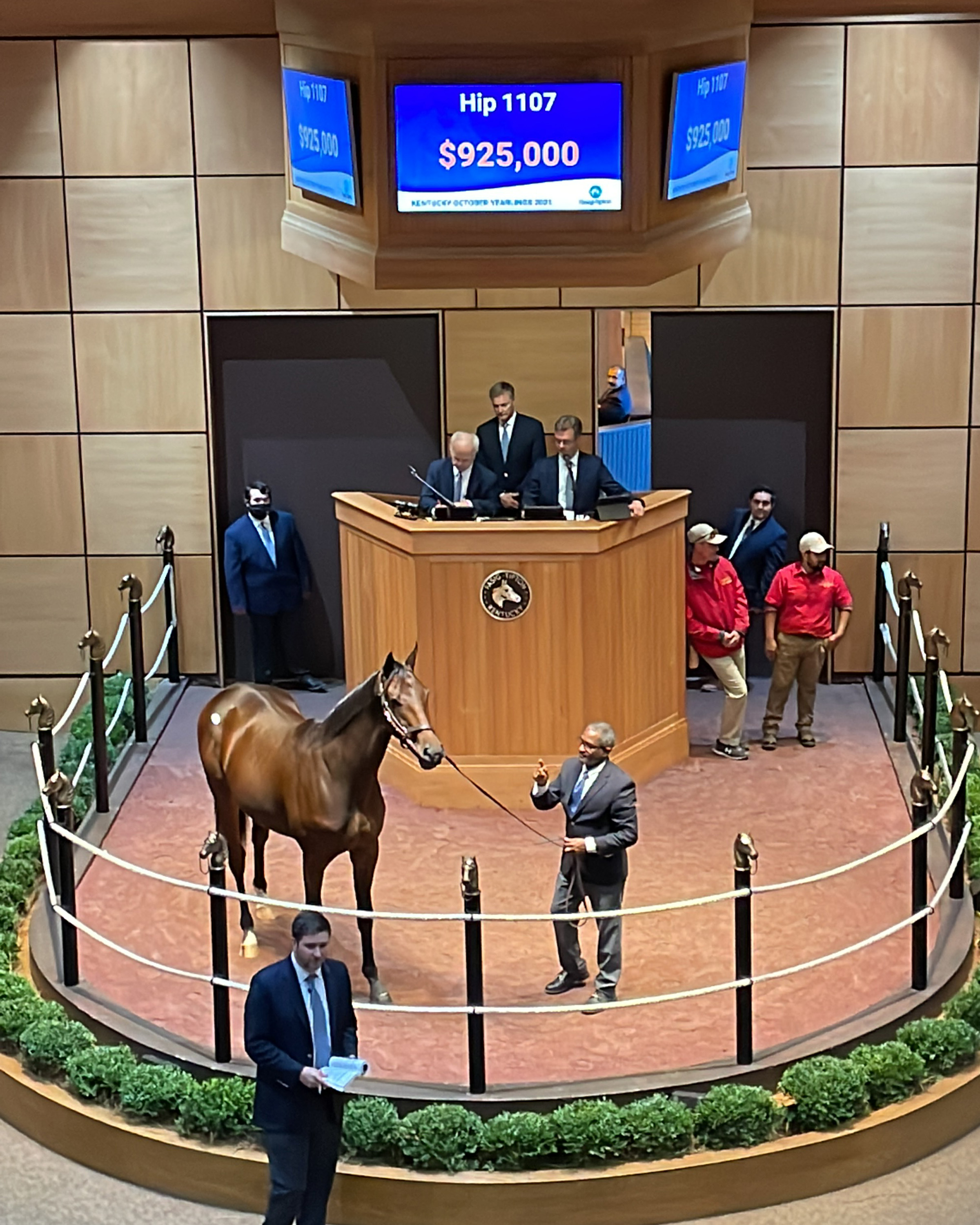$925,000 Street Sense colt/F-T Oct.