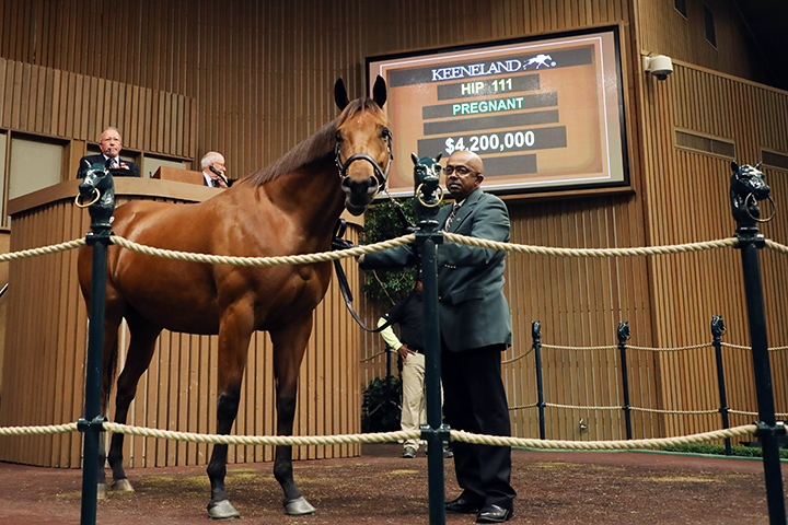 Lady Eli tops Book 1 of Keeneland November at $4.2 million
