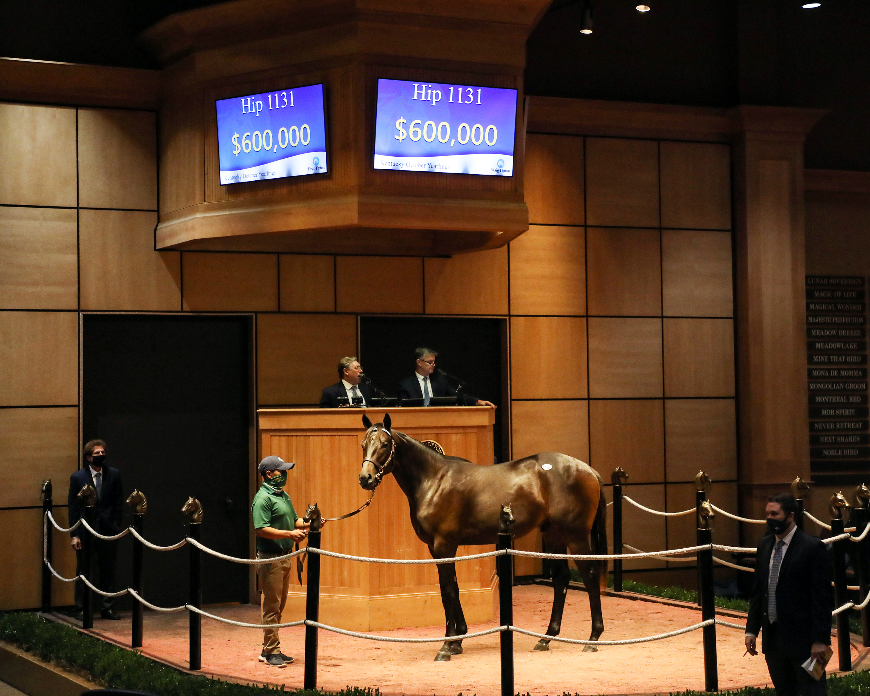 $600,000 Uncle Mo/Fasig-Tipton Kentucky fall yearling