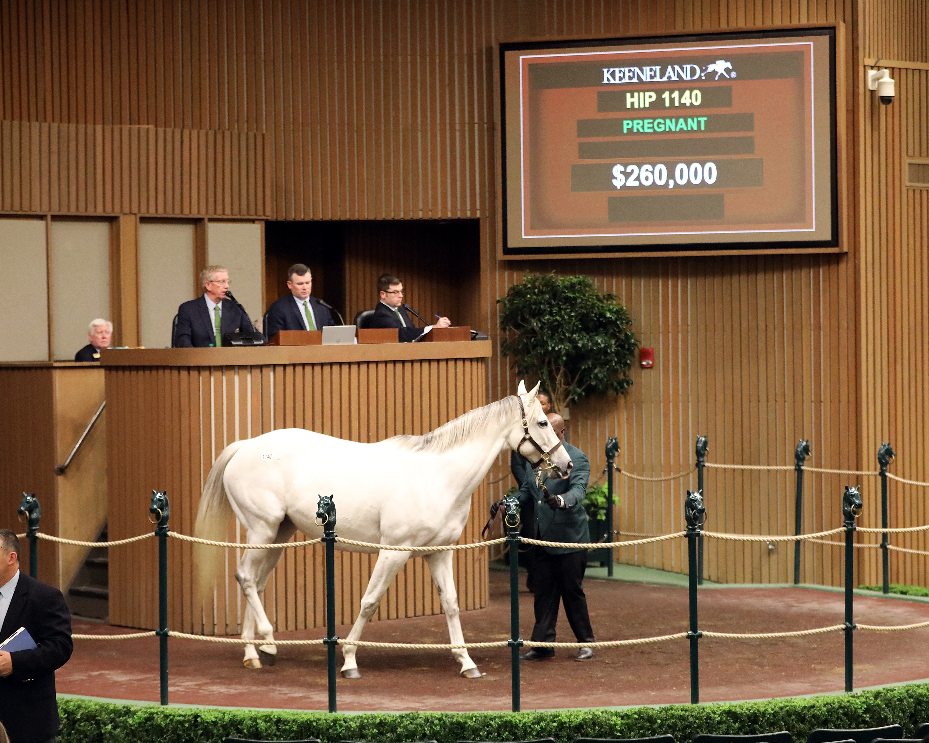 Carella, saletopper Keeneland January, Book 2, session 1