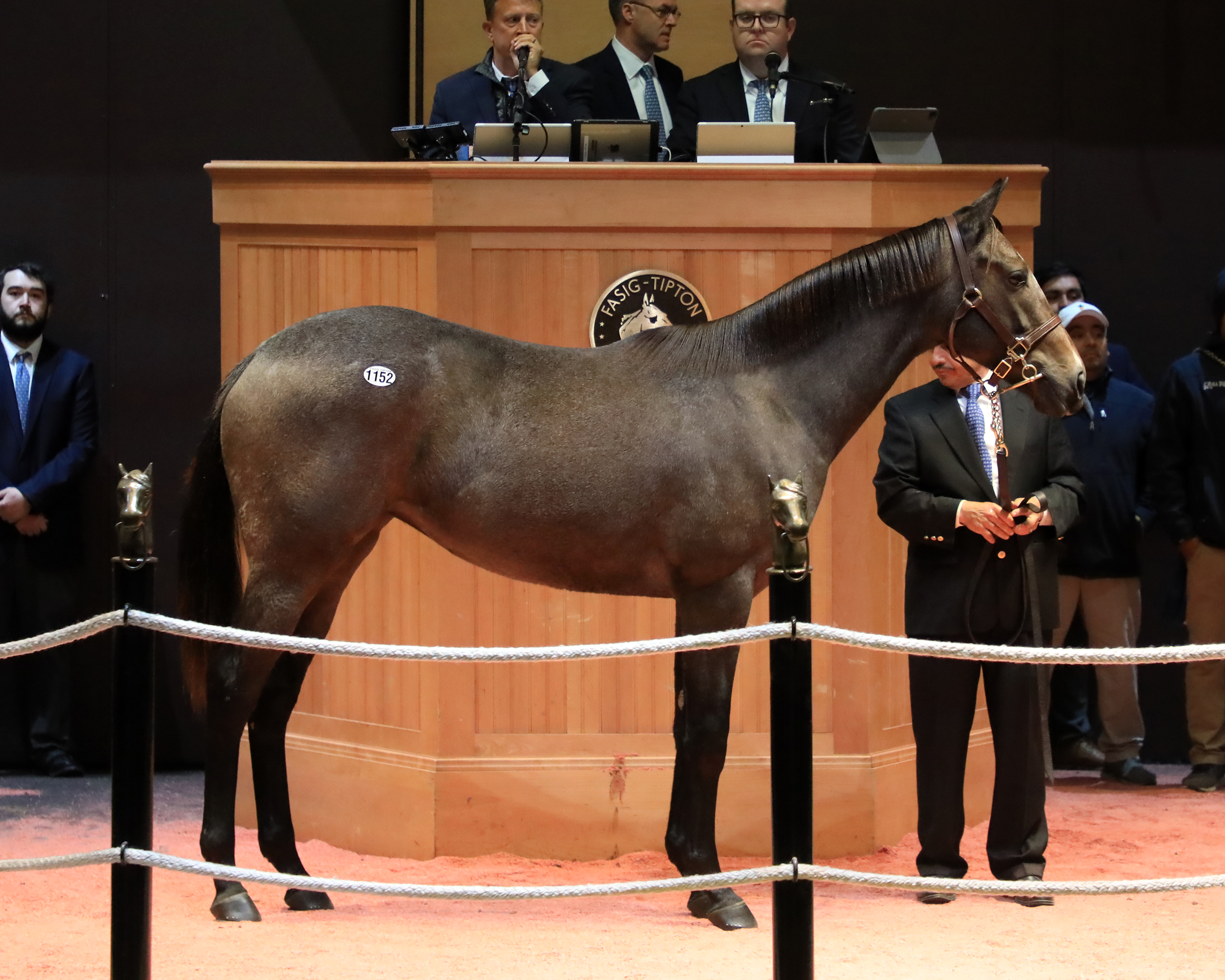 $450,000 Arrogate filly/FT Kentucky