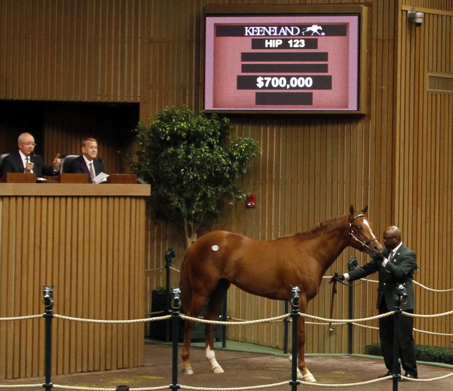 Hip 123