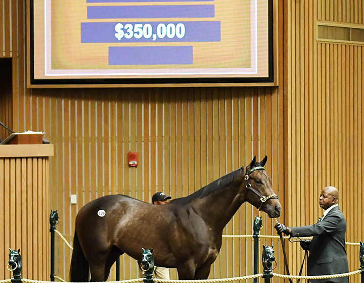 Hip 126 sells for $350,000 at the Keeneland April Sale