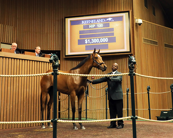 Hip 130 sells for $1.3 million at the Keeneland April Sale