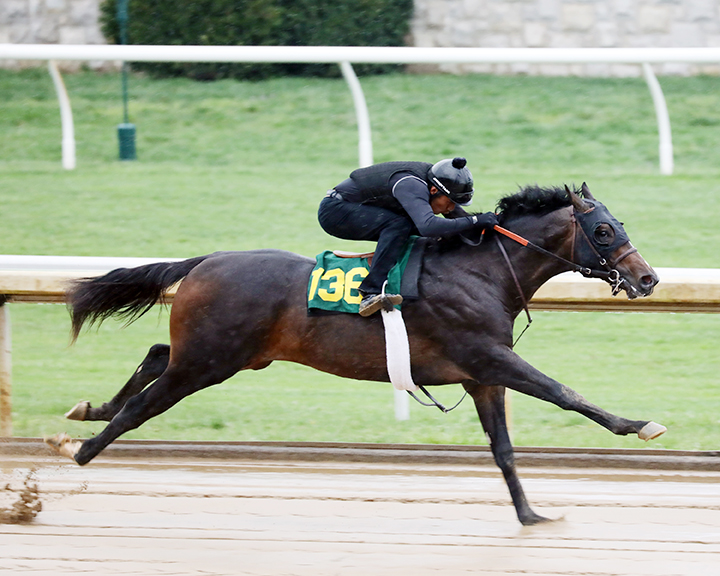 Hip 136, a Bodemeister colt, breezes at the Keeneland April Sale under-tack show